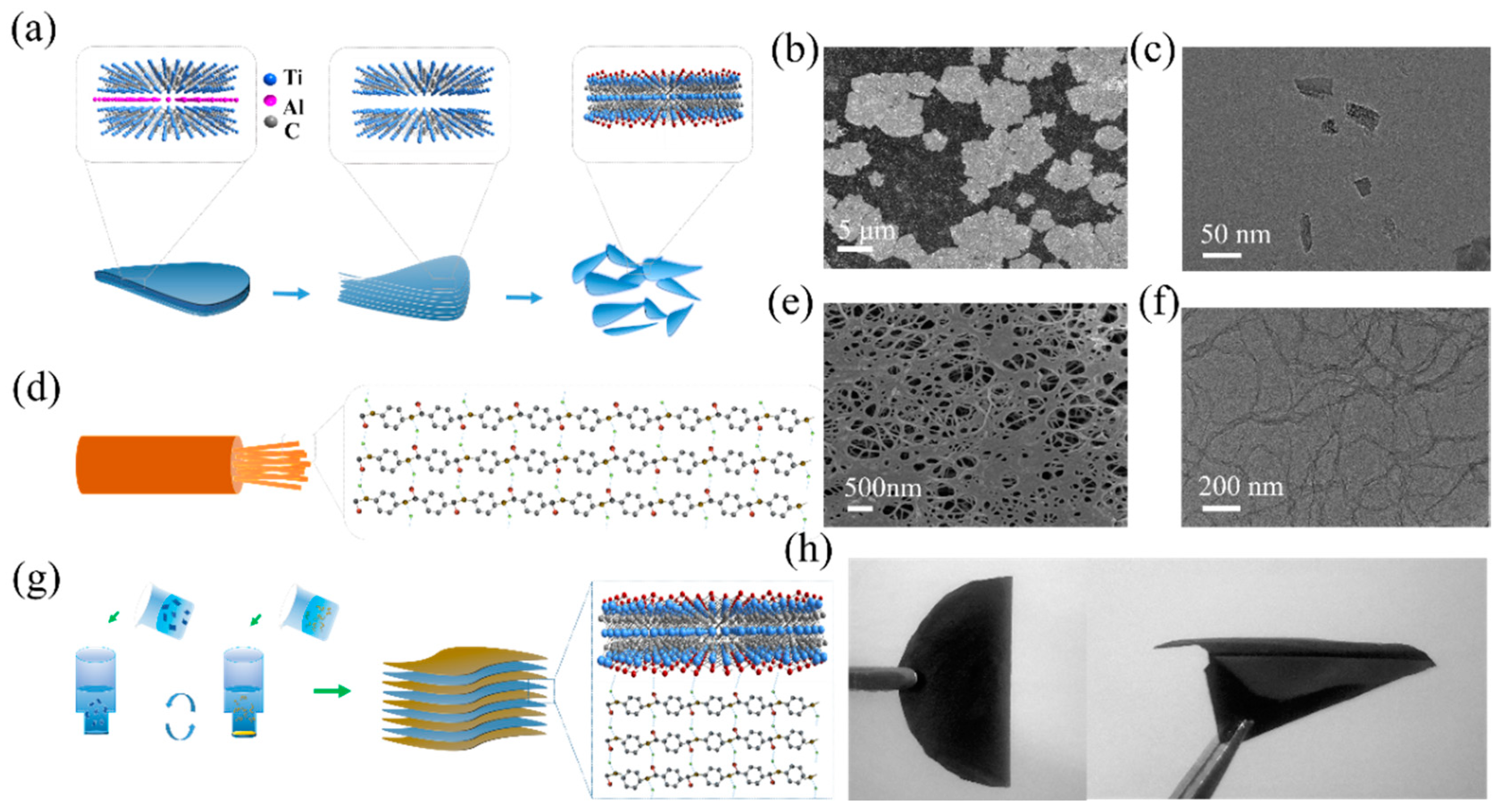 Nanomaterials 11 03041 g001