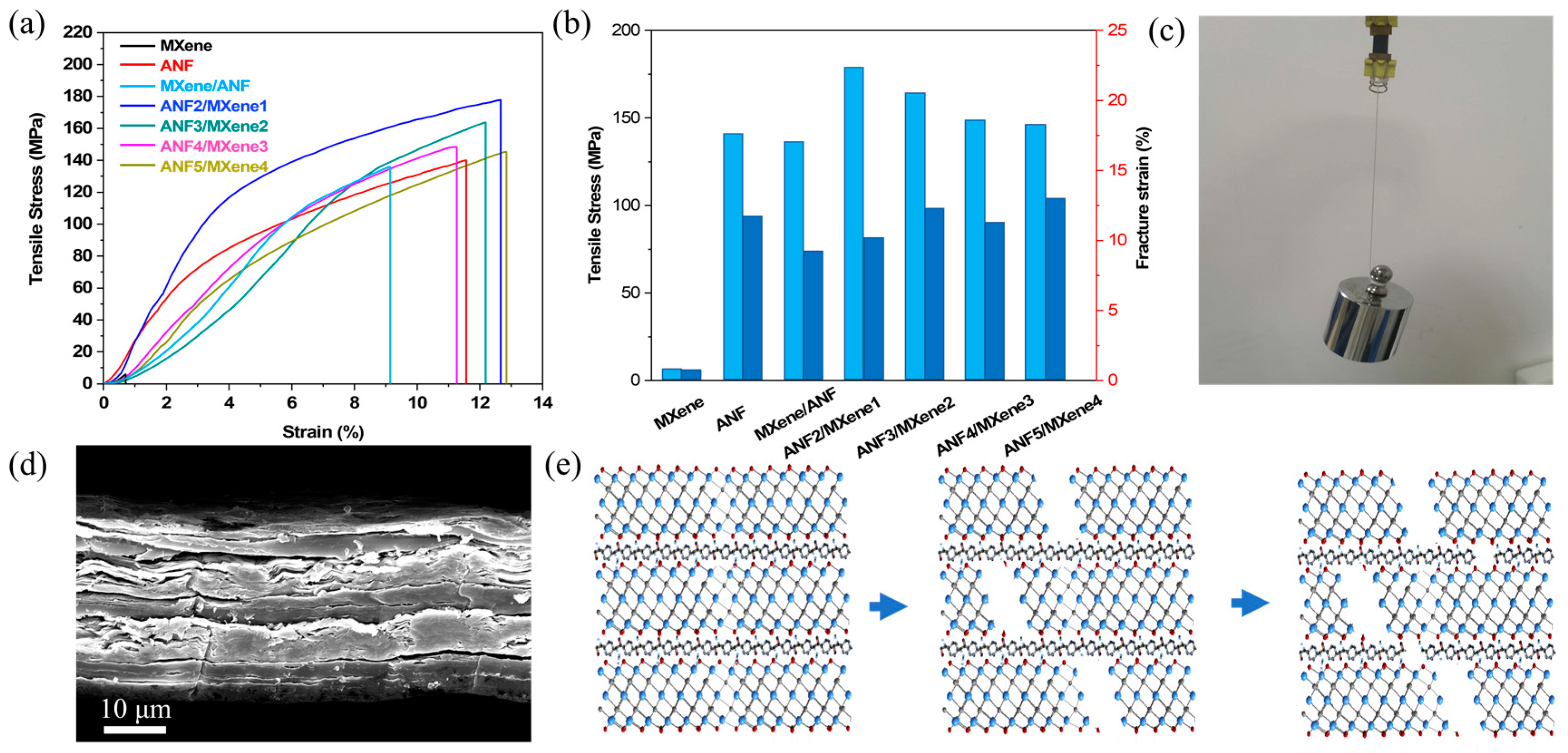 Nanomaterials 11 03041 g003