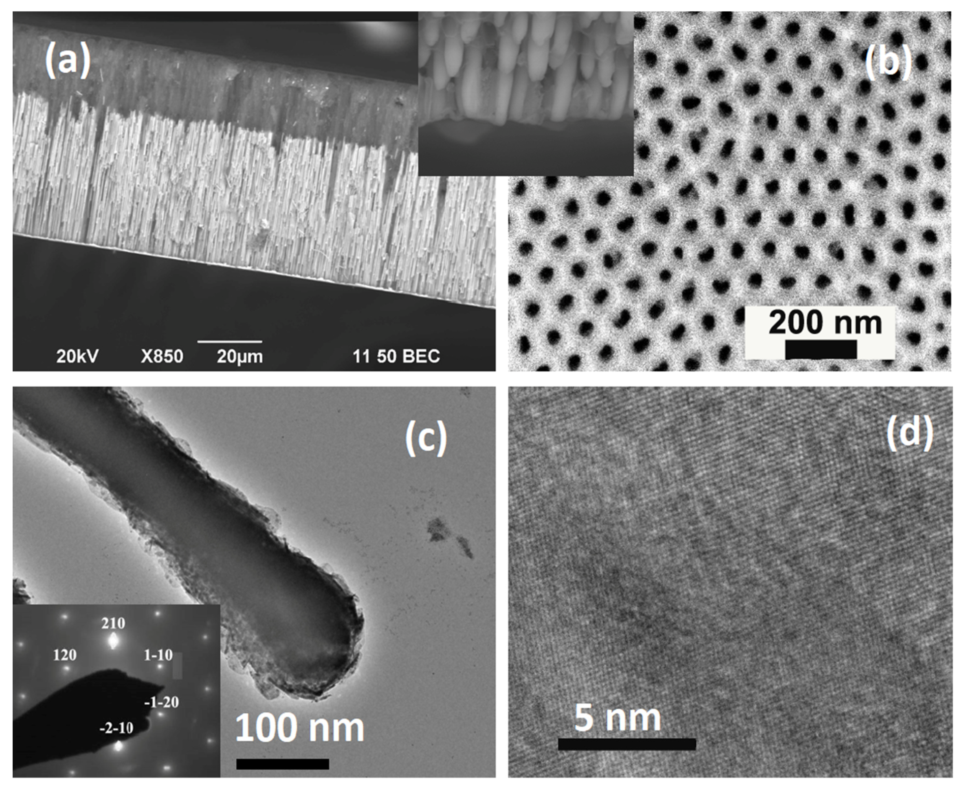 Nanomaterials 11 03042 g002