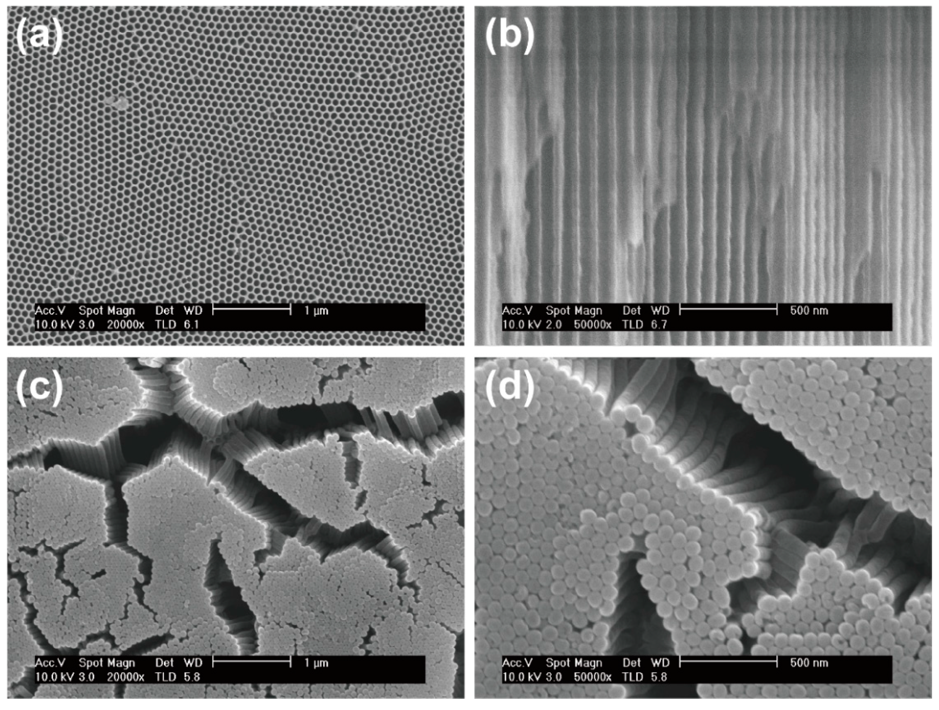 Nanomaterials 11 03053 g003