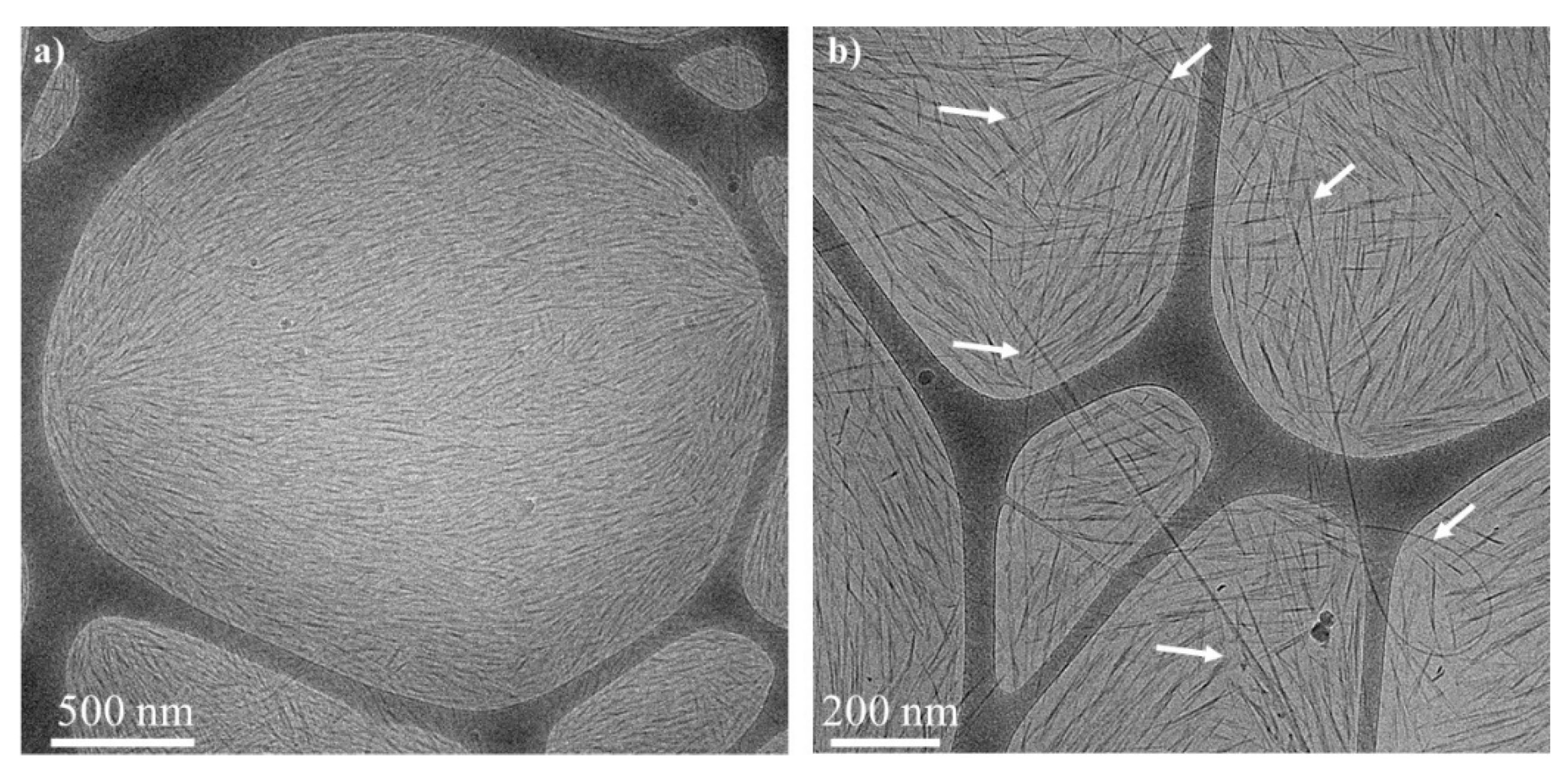 Nanomaterials 11 03059 g004