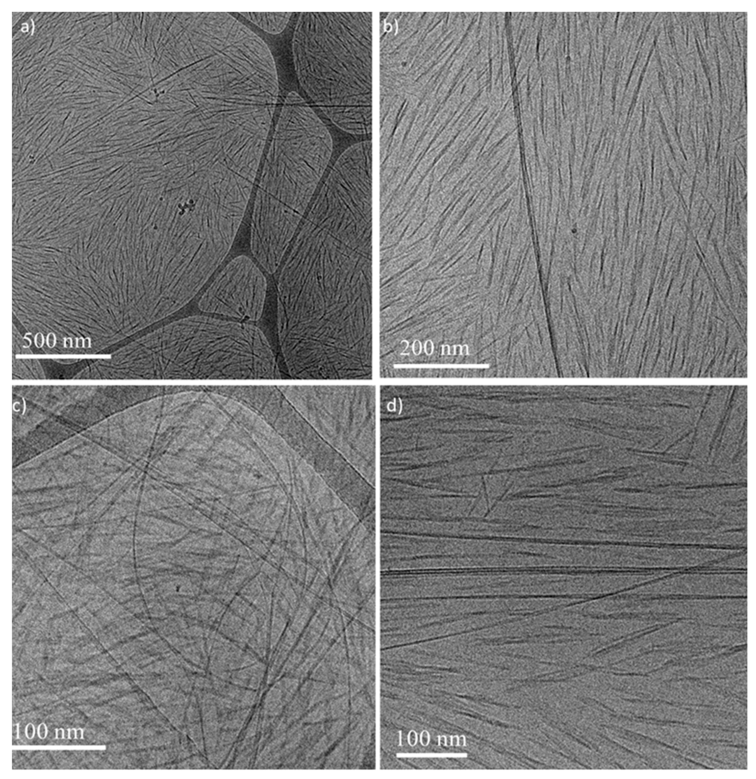 Nanomaterials 11 03059 g005