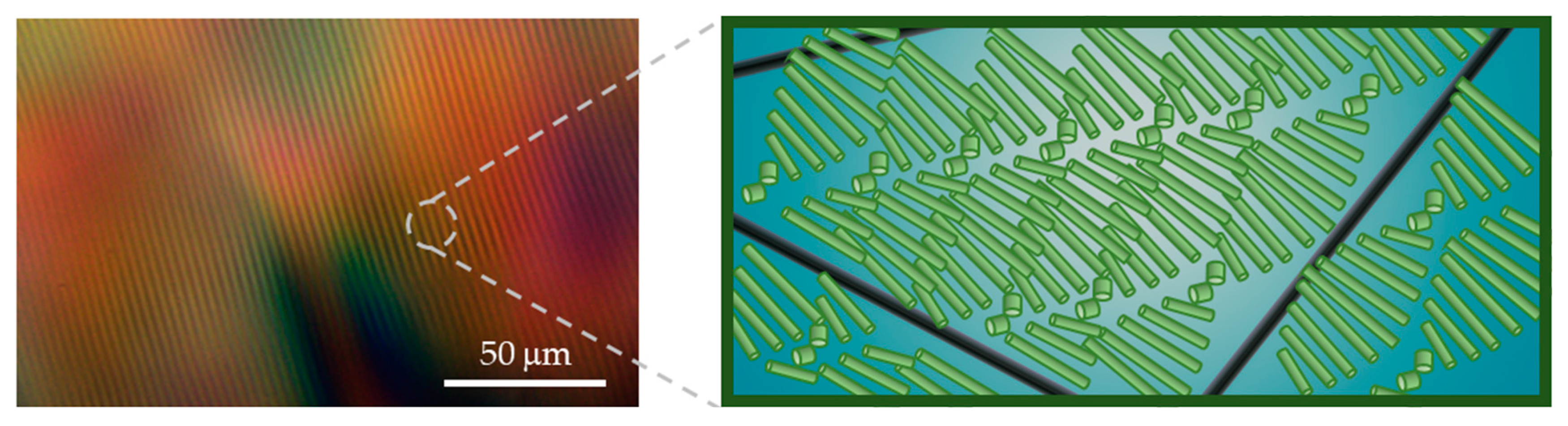 Nanomaterials 11 03059 g007