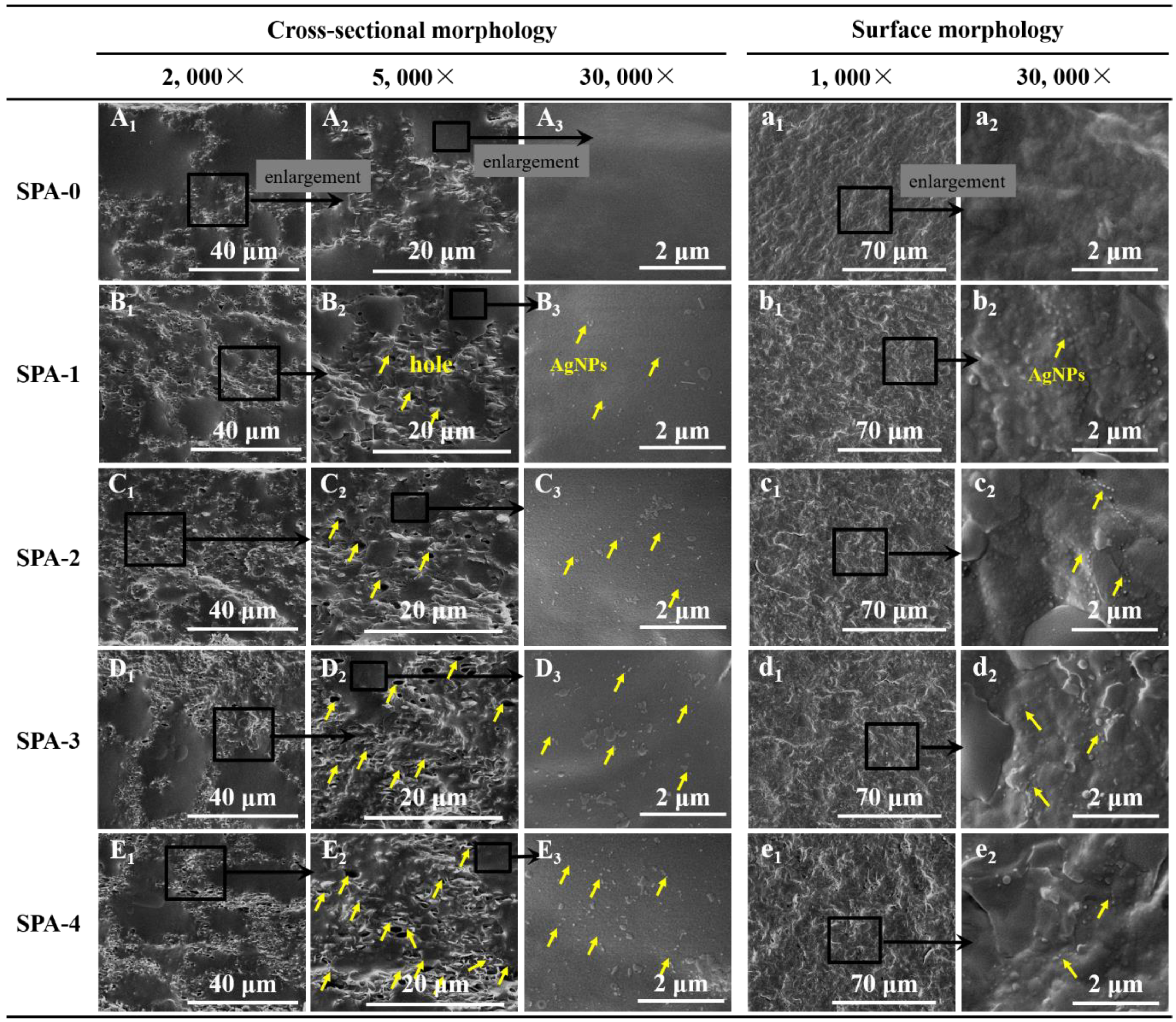 Nanomaterials 11 03062 g002 550