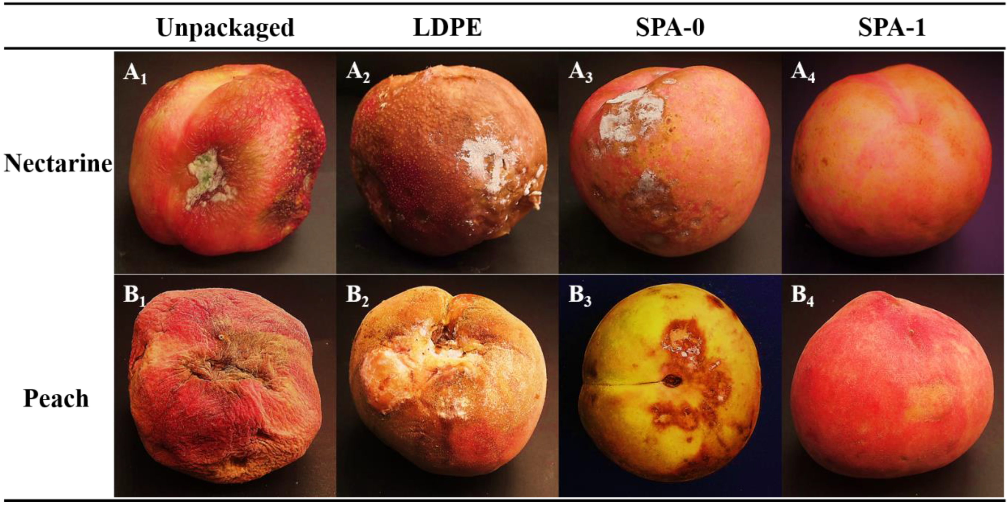 Nanomaterials 11 03062 g007 550