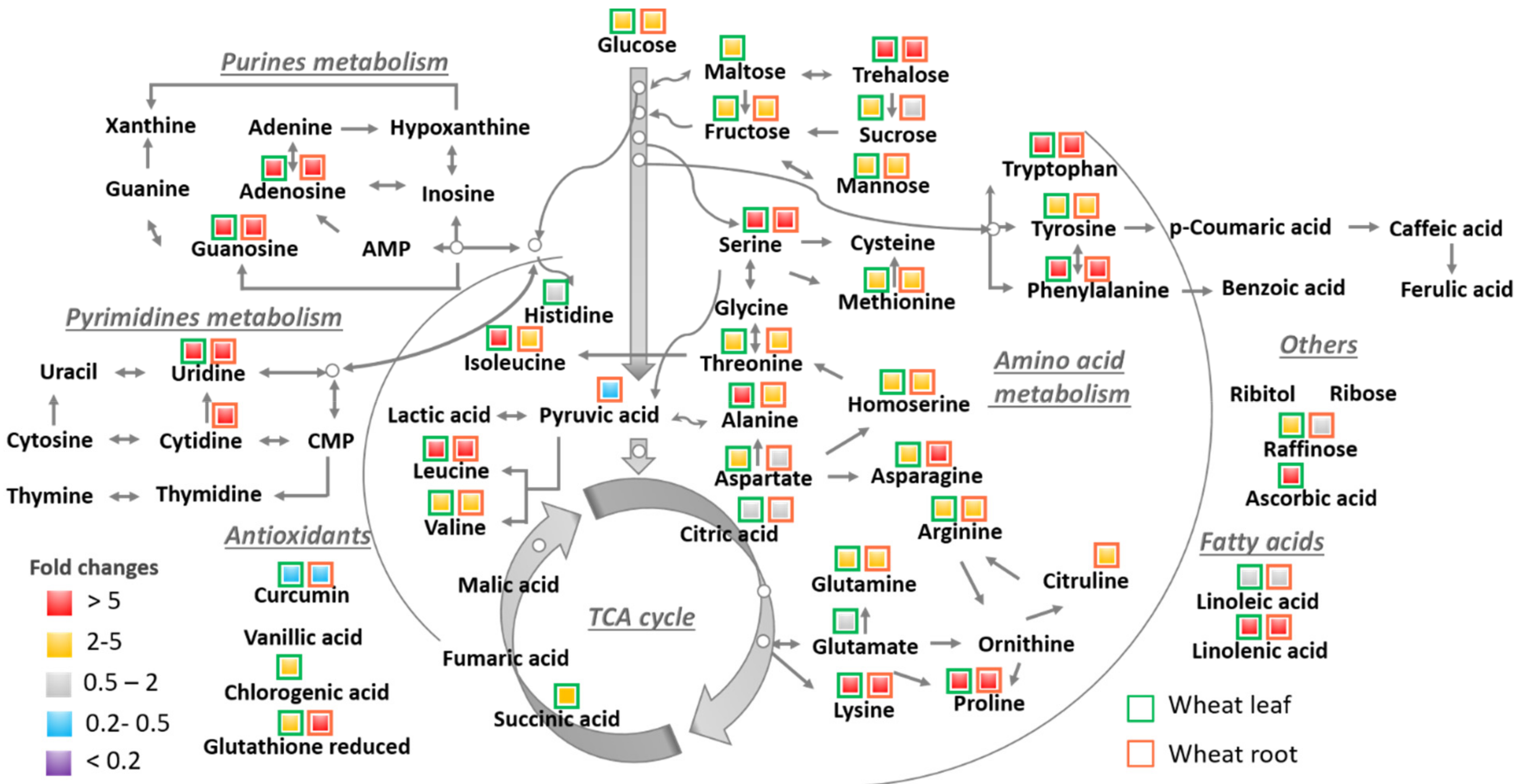 Nanomaterials 11 03073 g002