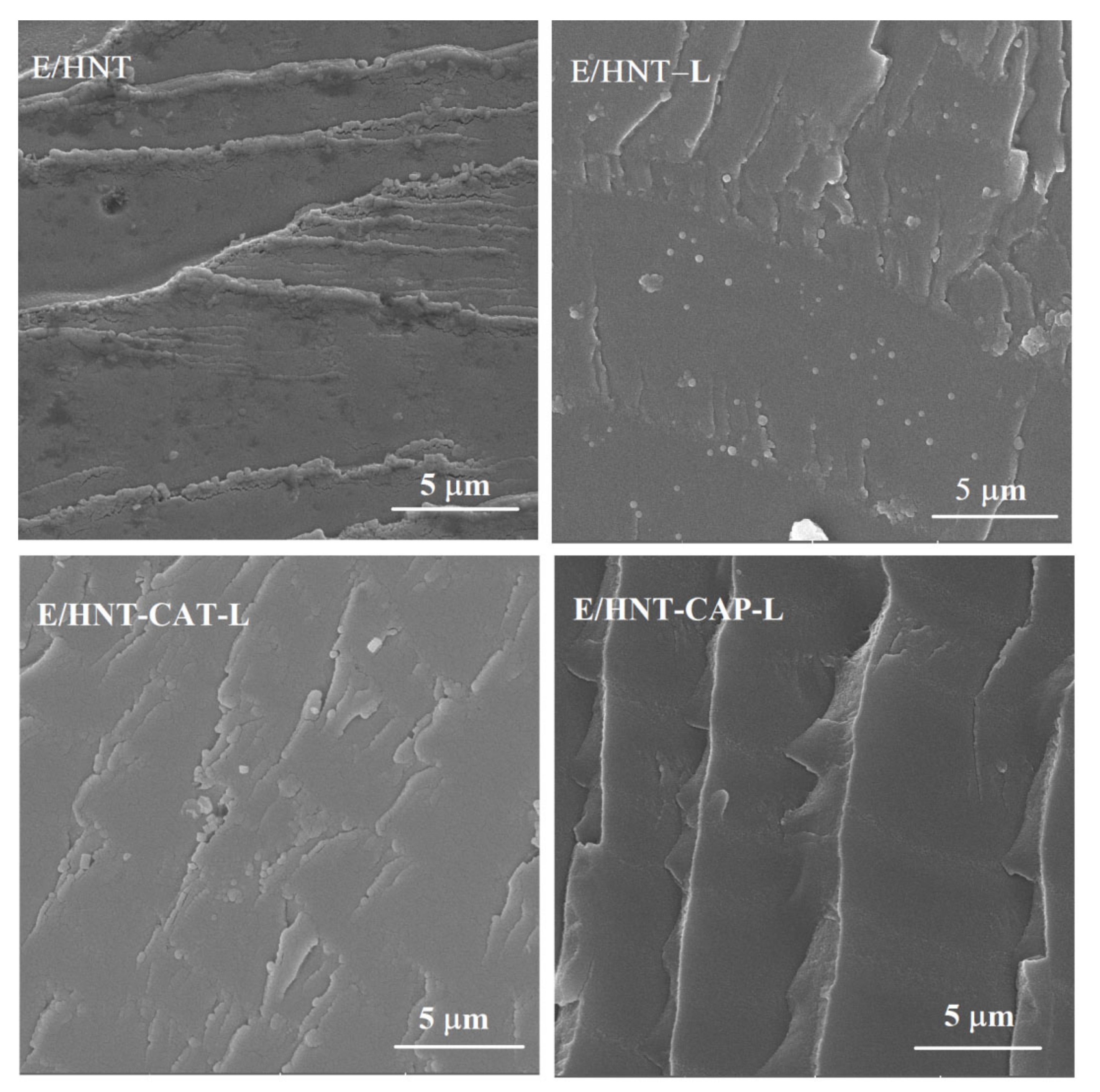 Nanomaterials 11 03078 g007