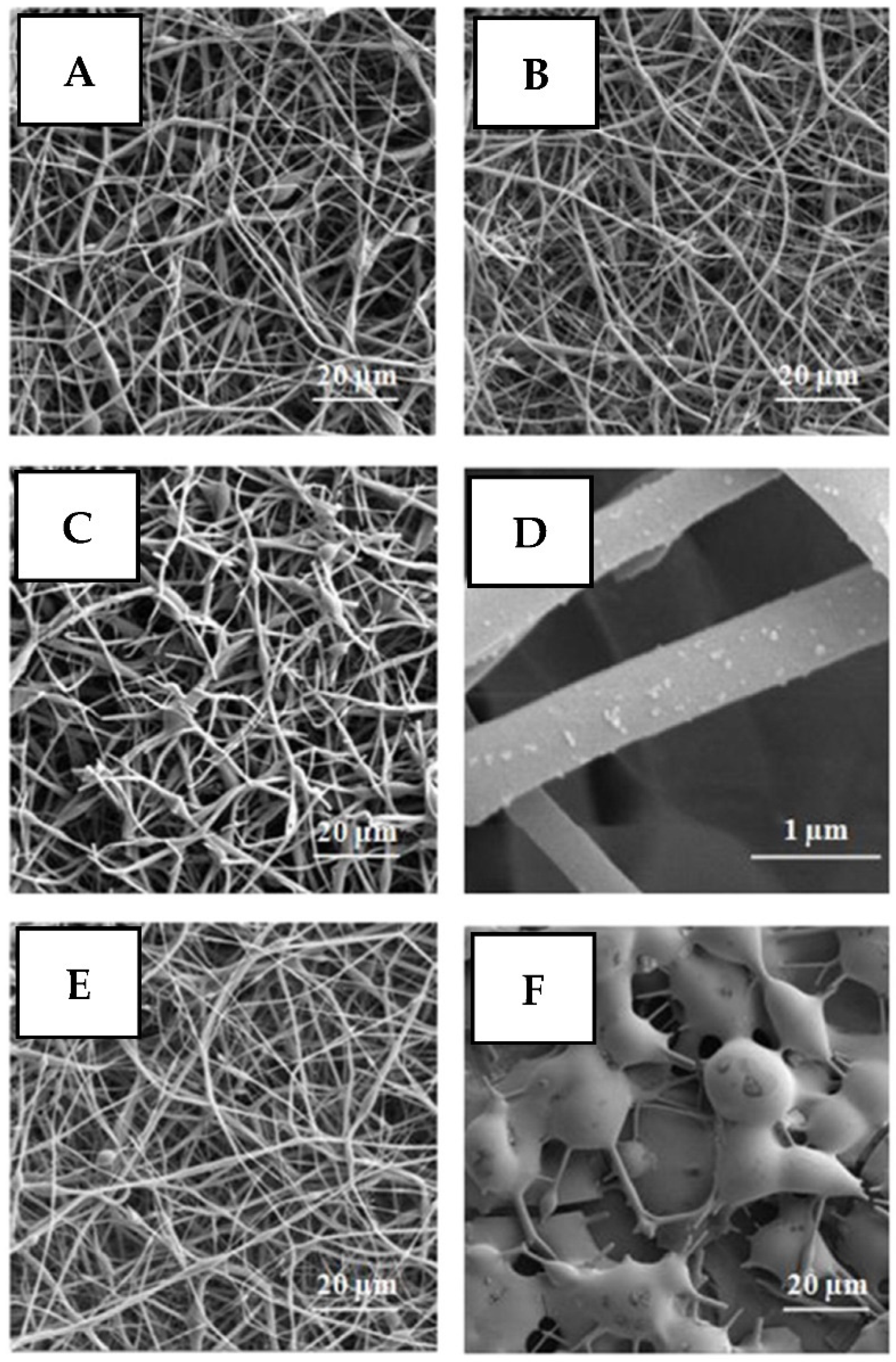 Nanomaterials 11 03083 g003