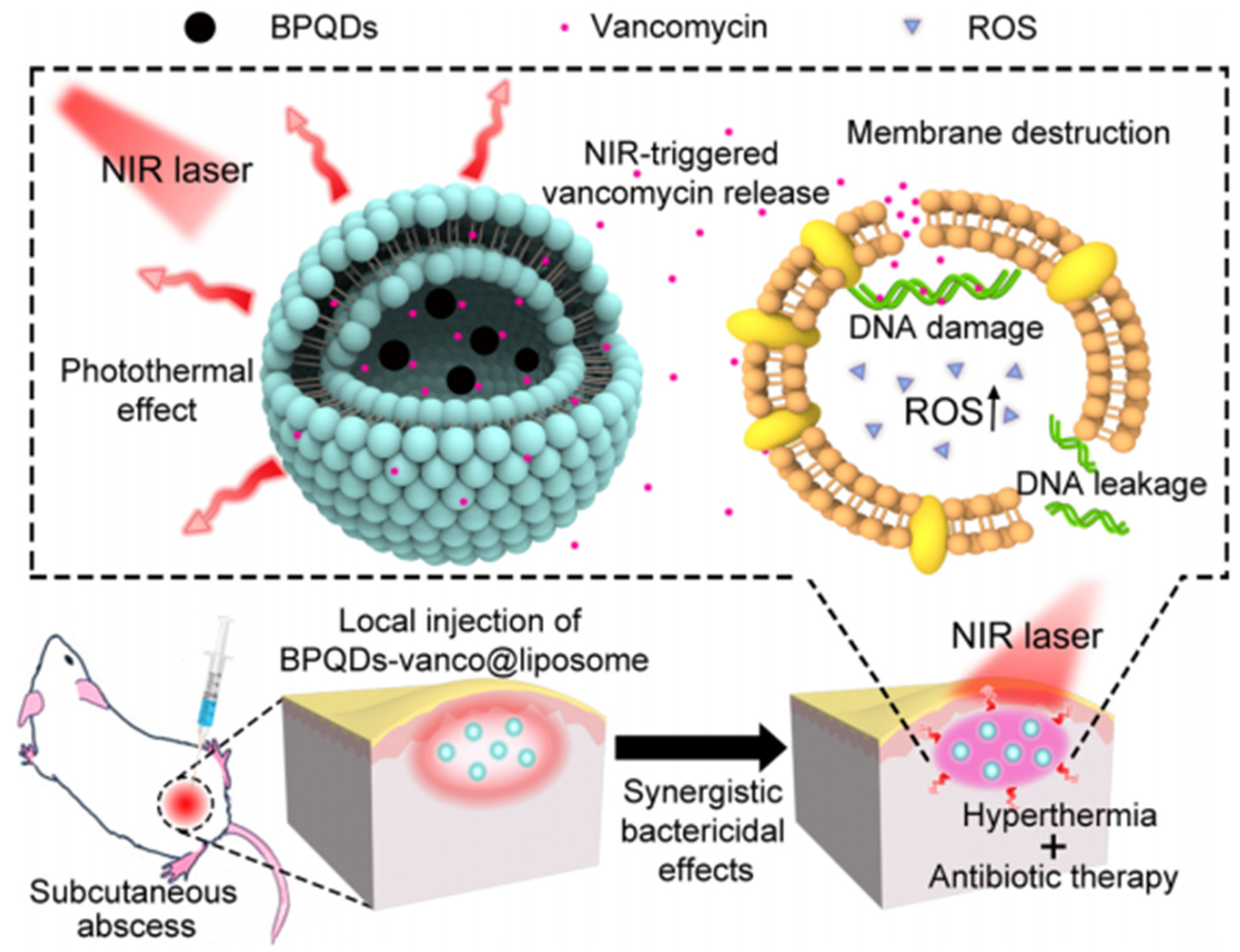 Nanomaterials 11 03083 g004