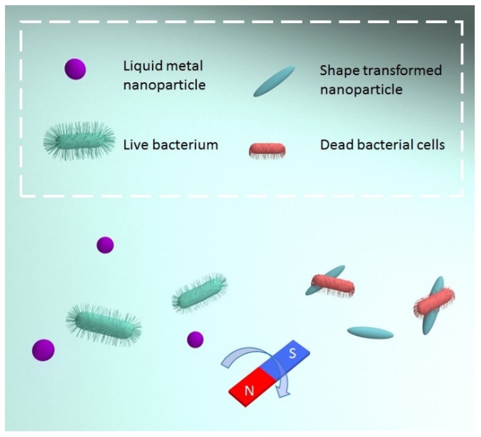 Nanomaterials 11 03083 g006