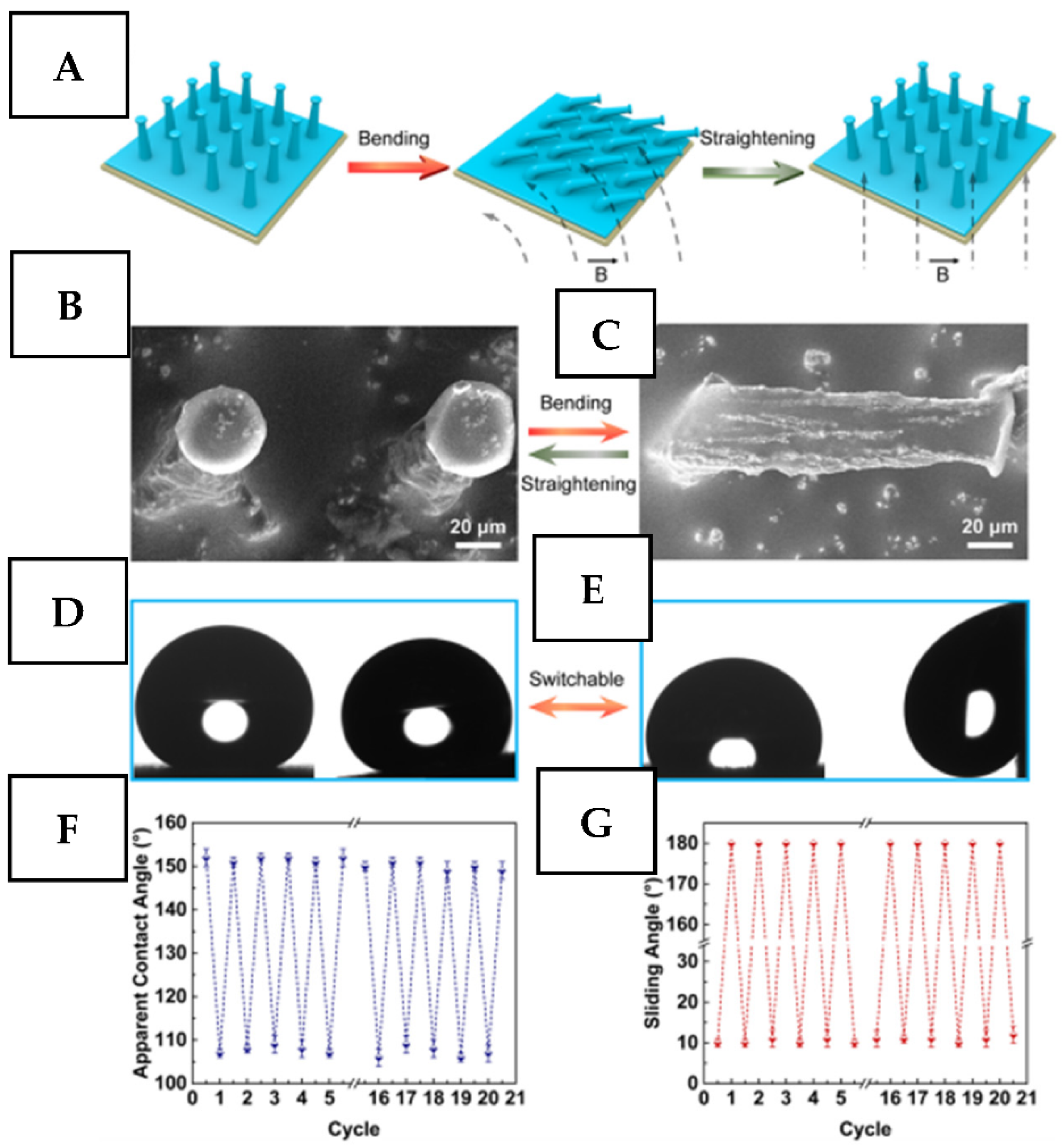 Nanomaterials 11 03083 g007