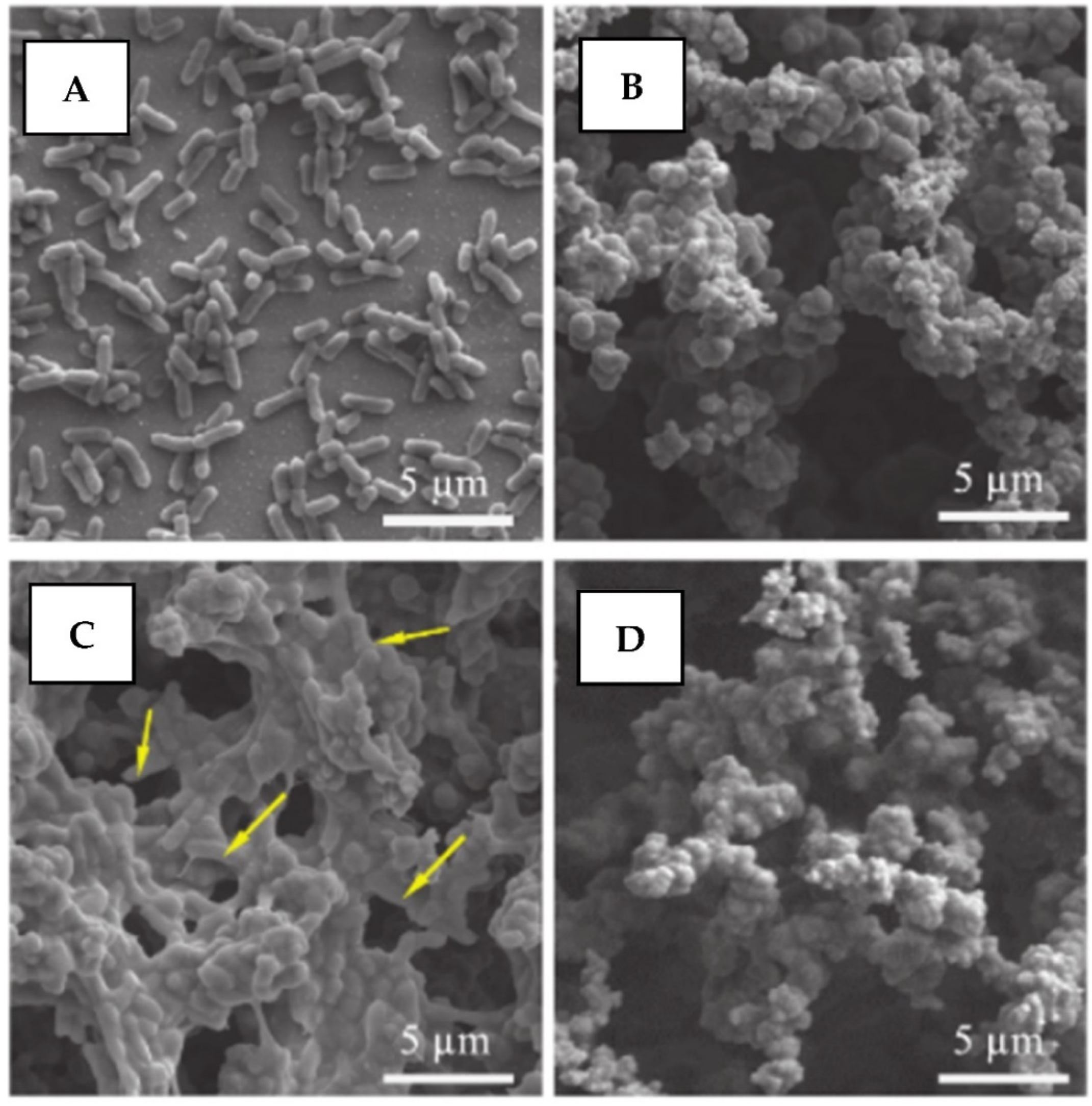 Nanomaterials 11 03083 g020