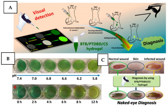 Local Electric Potential-Driven Nanofluidic Ion Transport