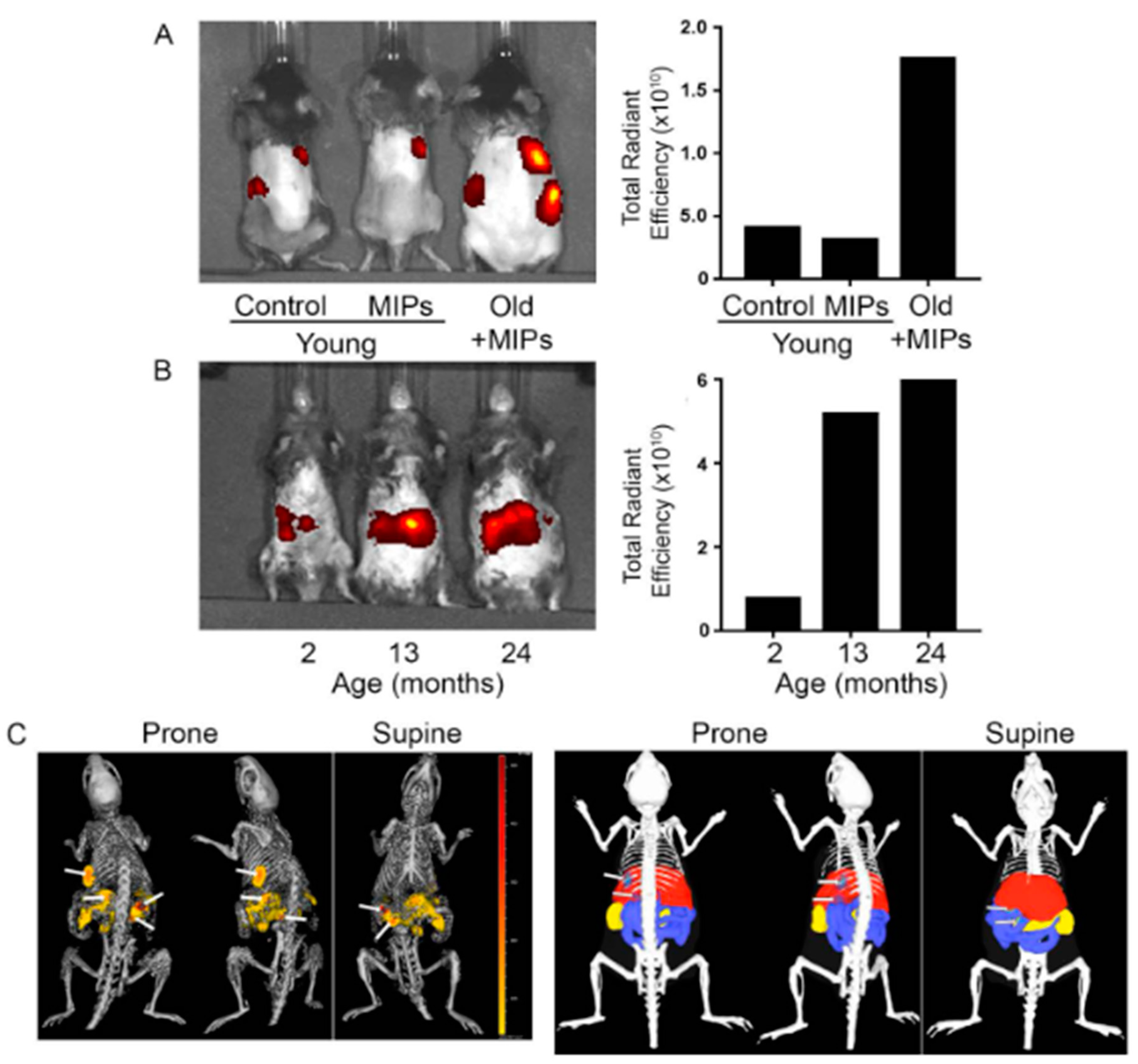 Nanomaterials 11 03091 g007