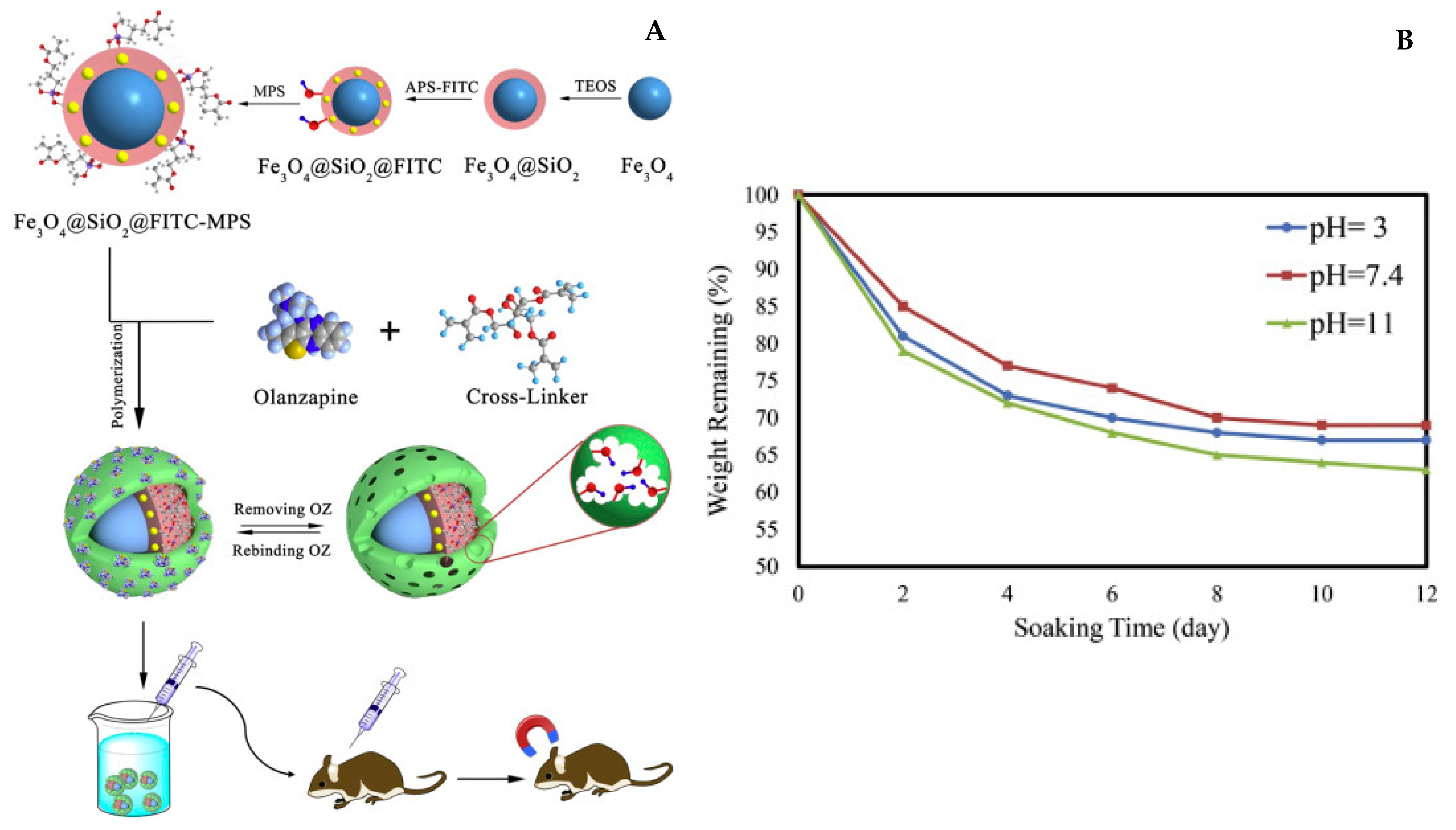 Nanomaterials 11 03091 g013