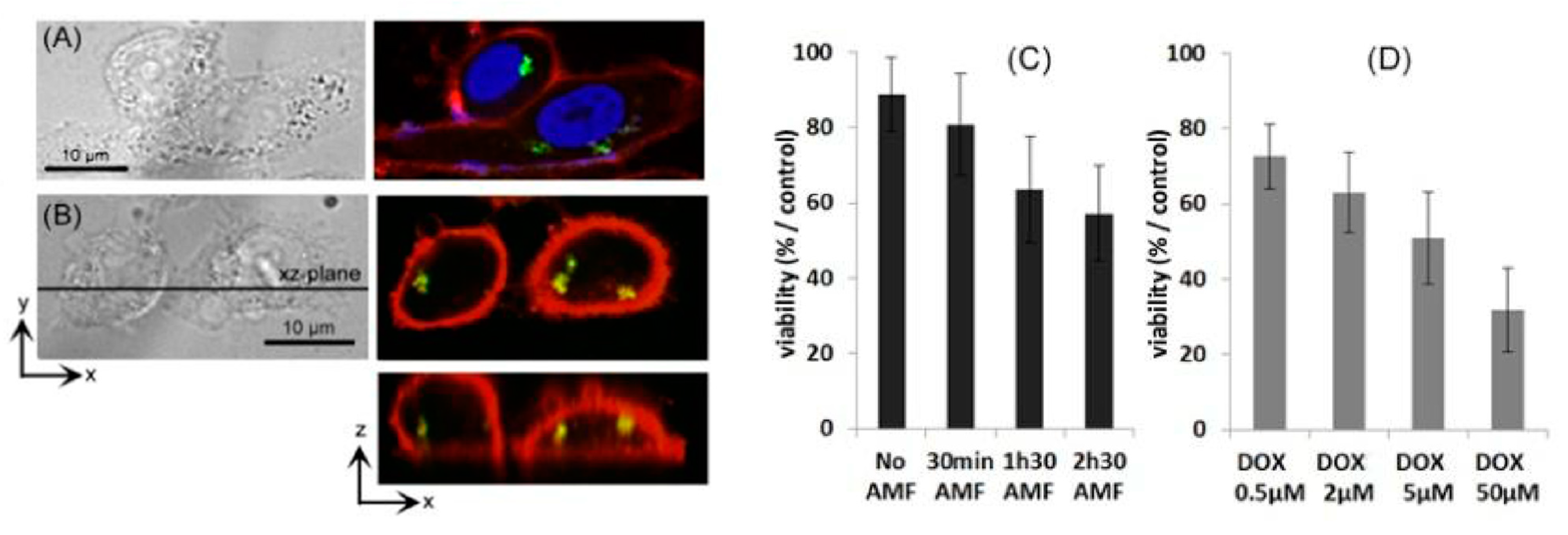 Nanomaterials 11 03091 g014