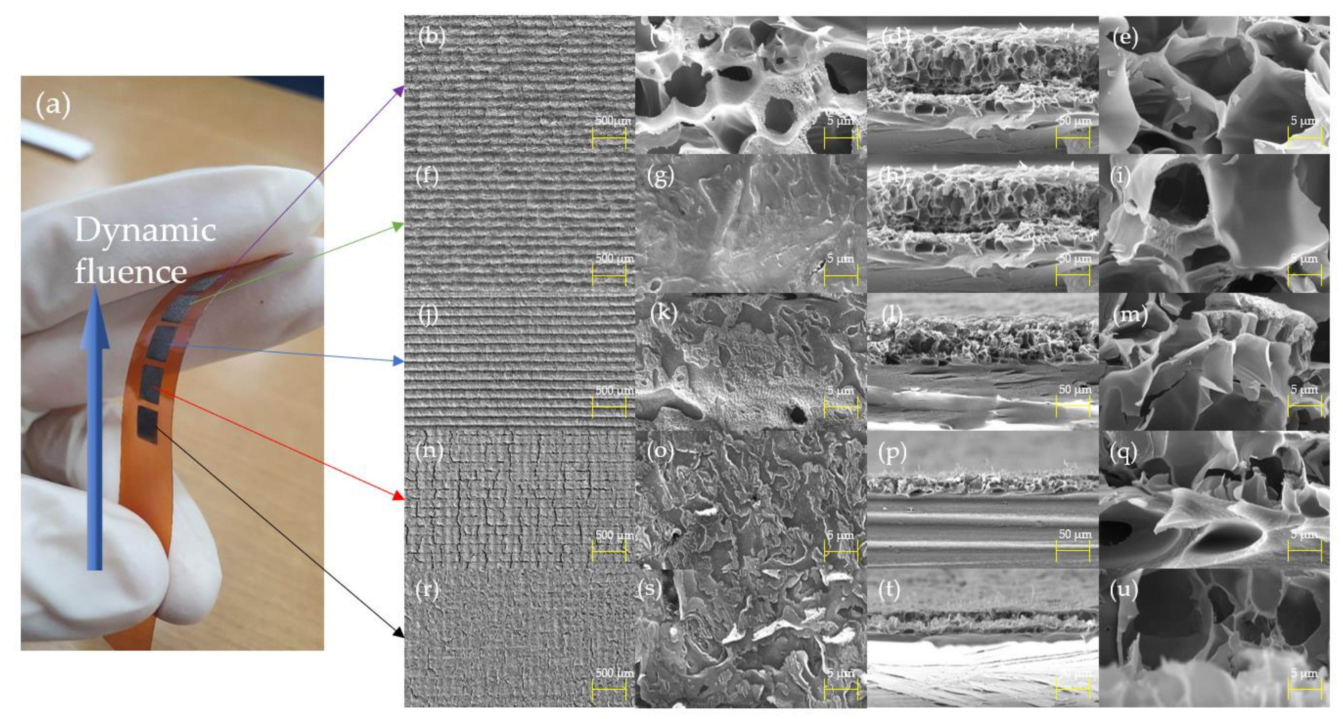 Nanomaterials 11 03093 g002