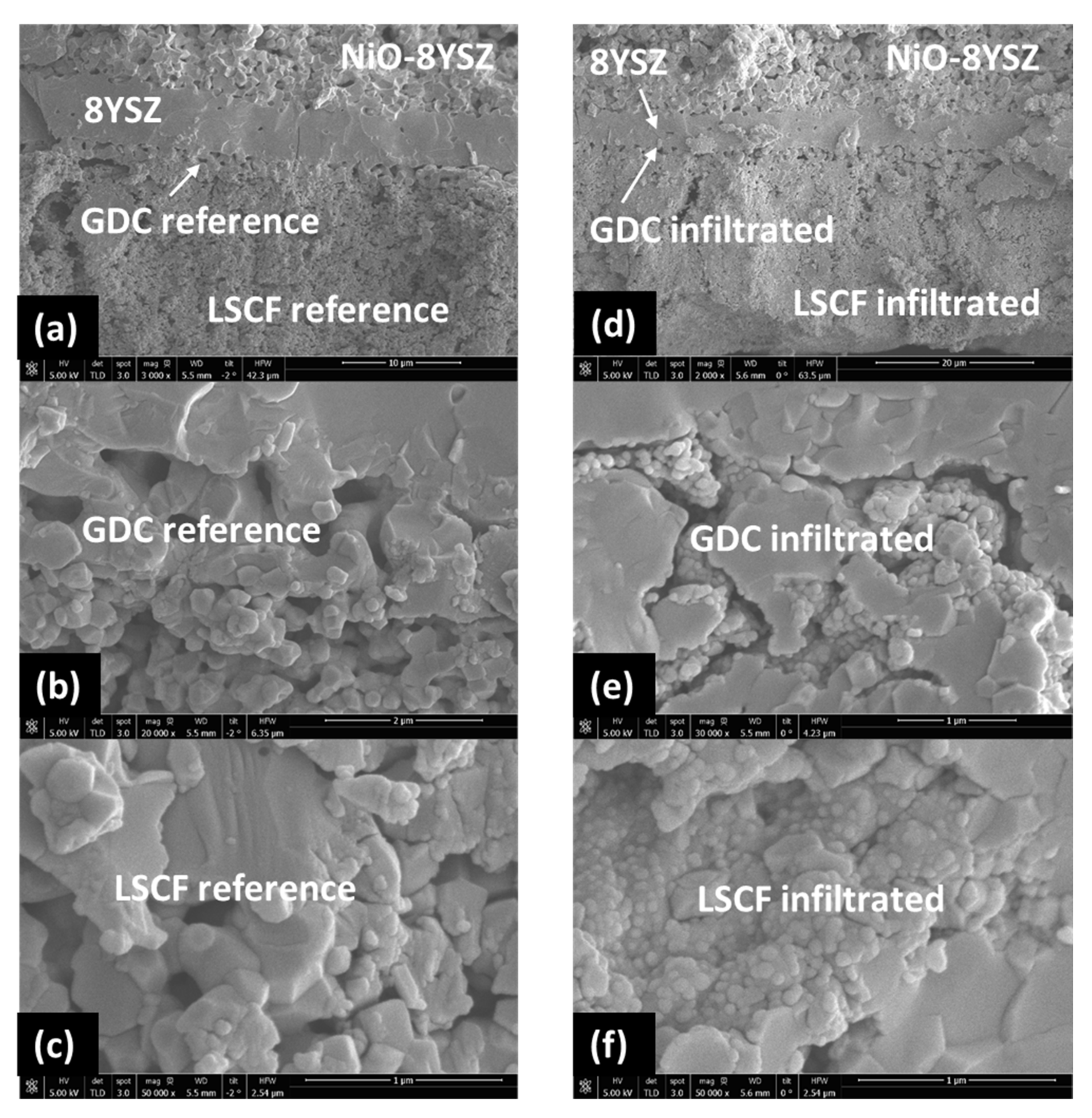 Nanomaterials 11 03095 g006