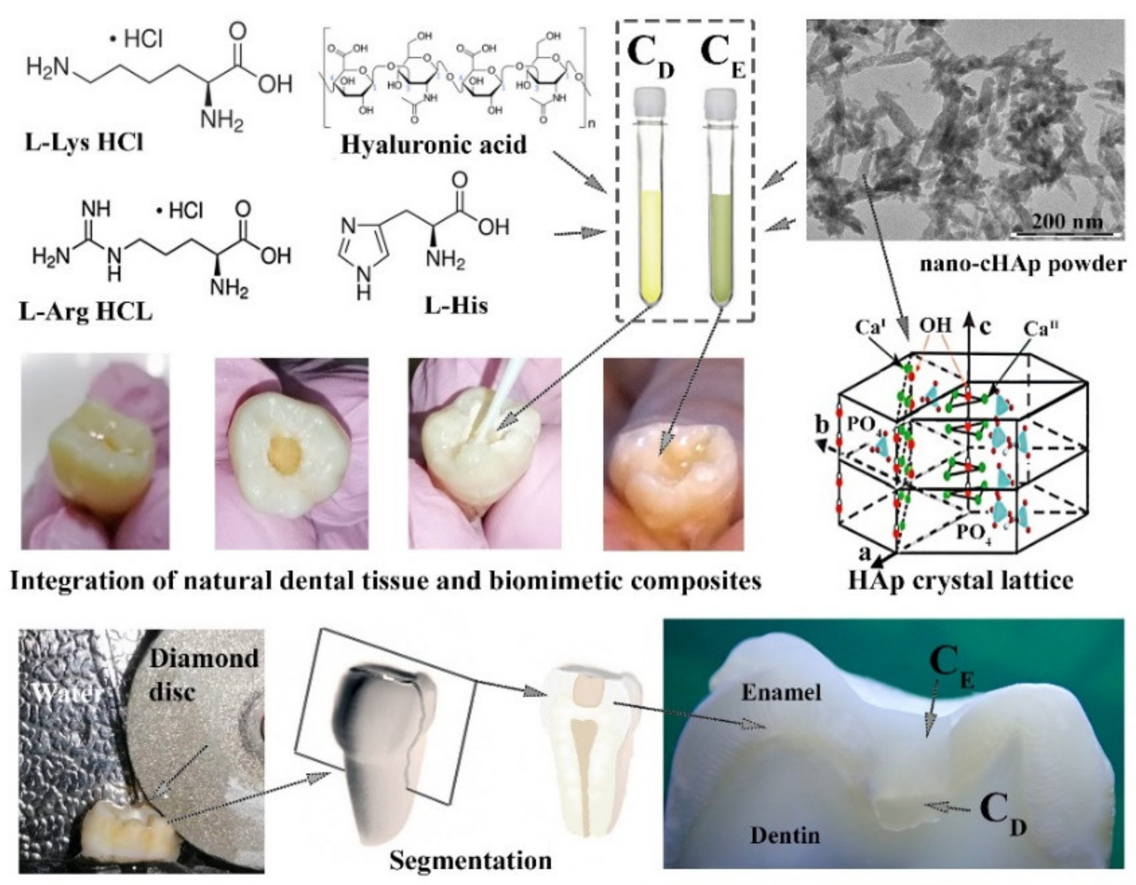 Nanomaterials 11 03099 g001