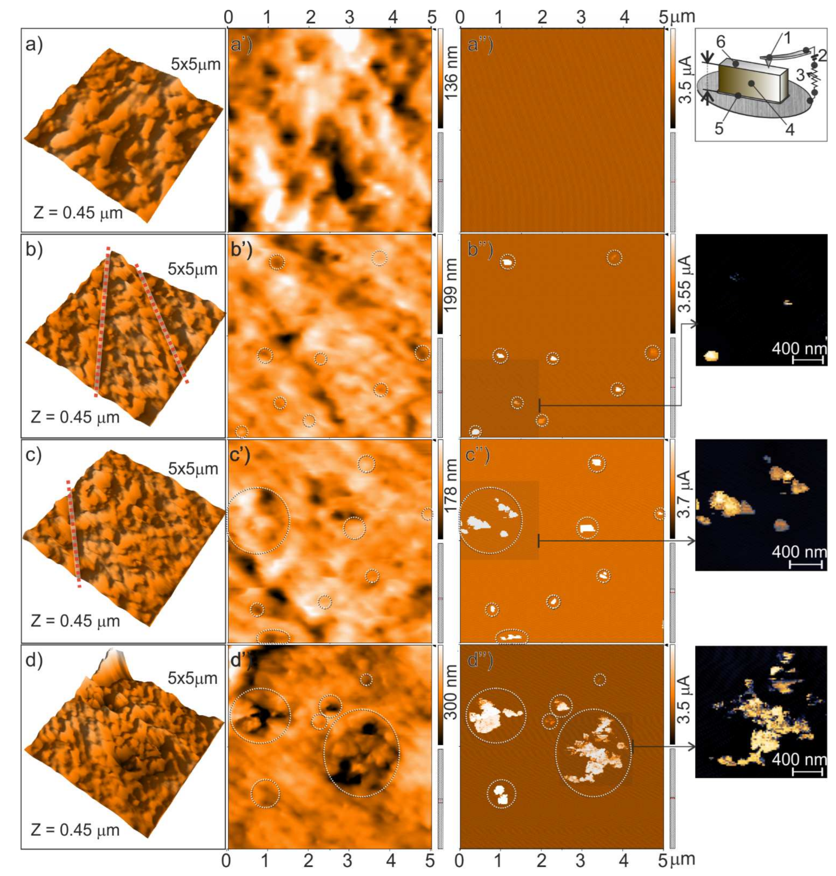 Nanomaterials 11 03103 g005