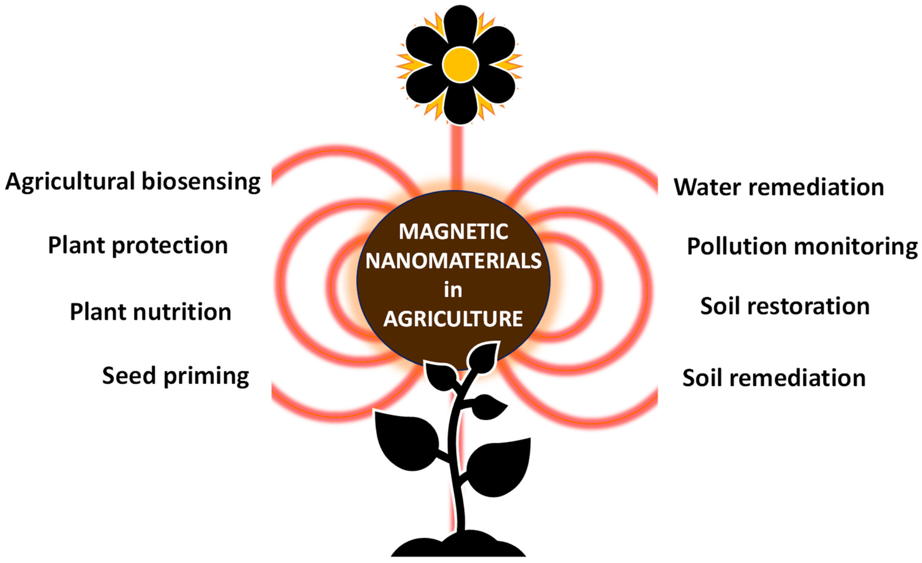 Nanomaterials 11 03106 g001