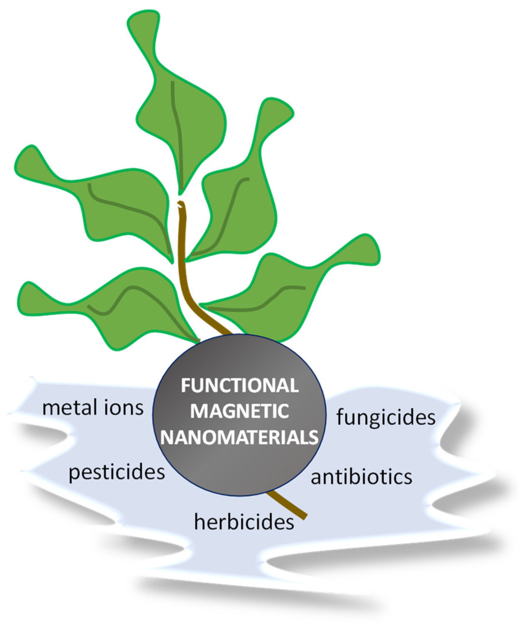 Nanomaterials 11 03106 g002