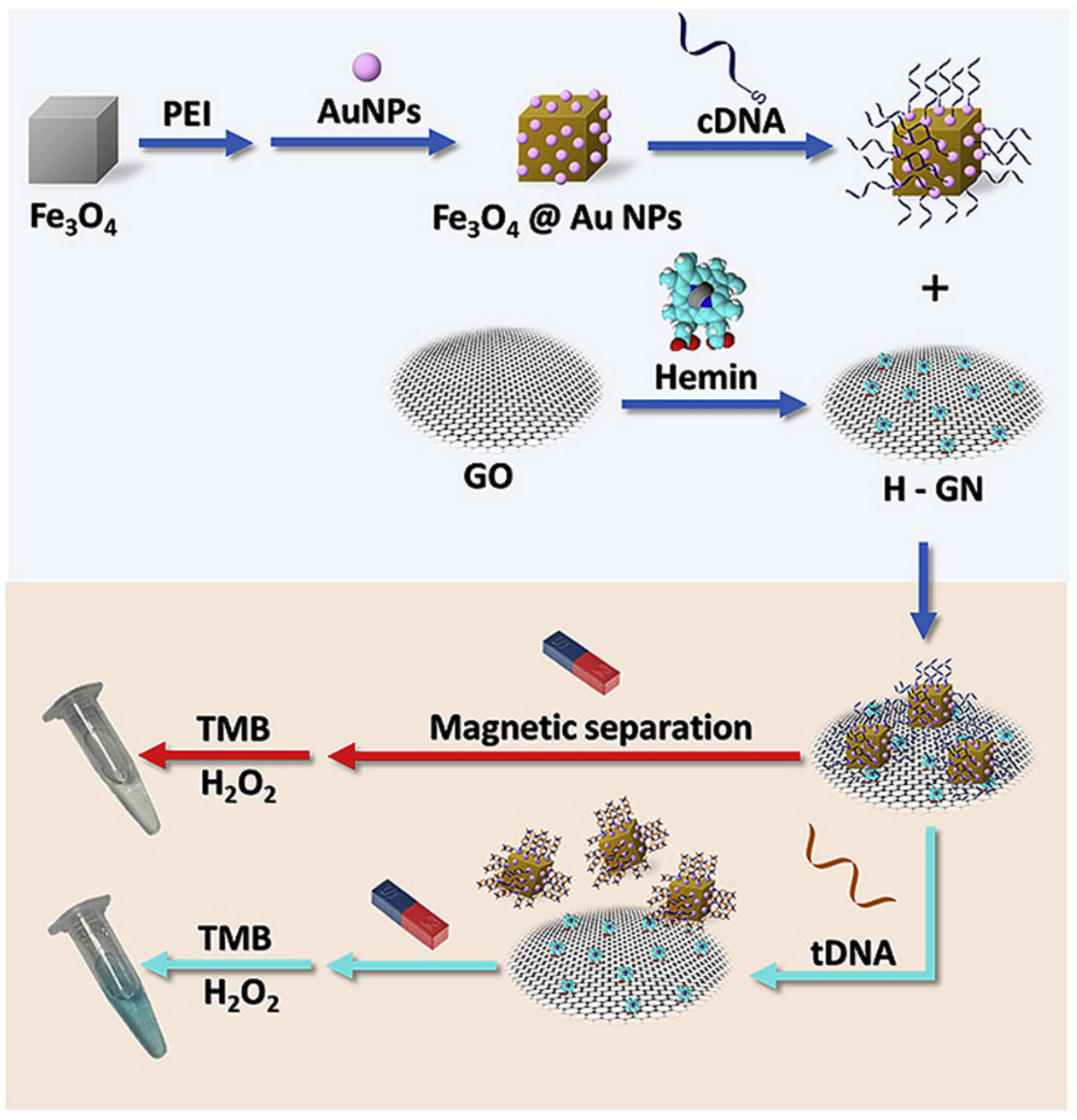 Nanomaterials 11 03106 g006