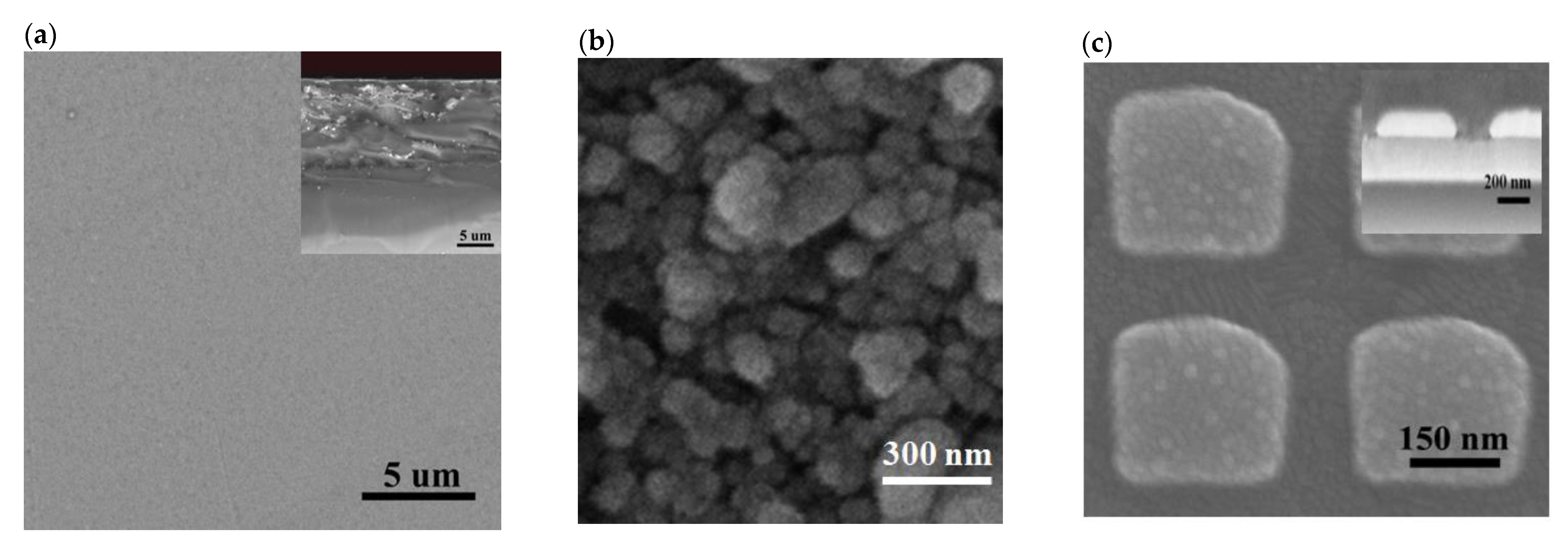 Nanomaterials 11 03108 g002a