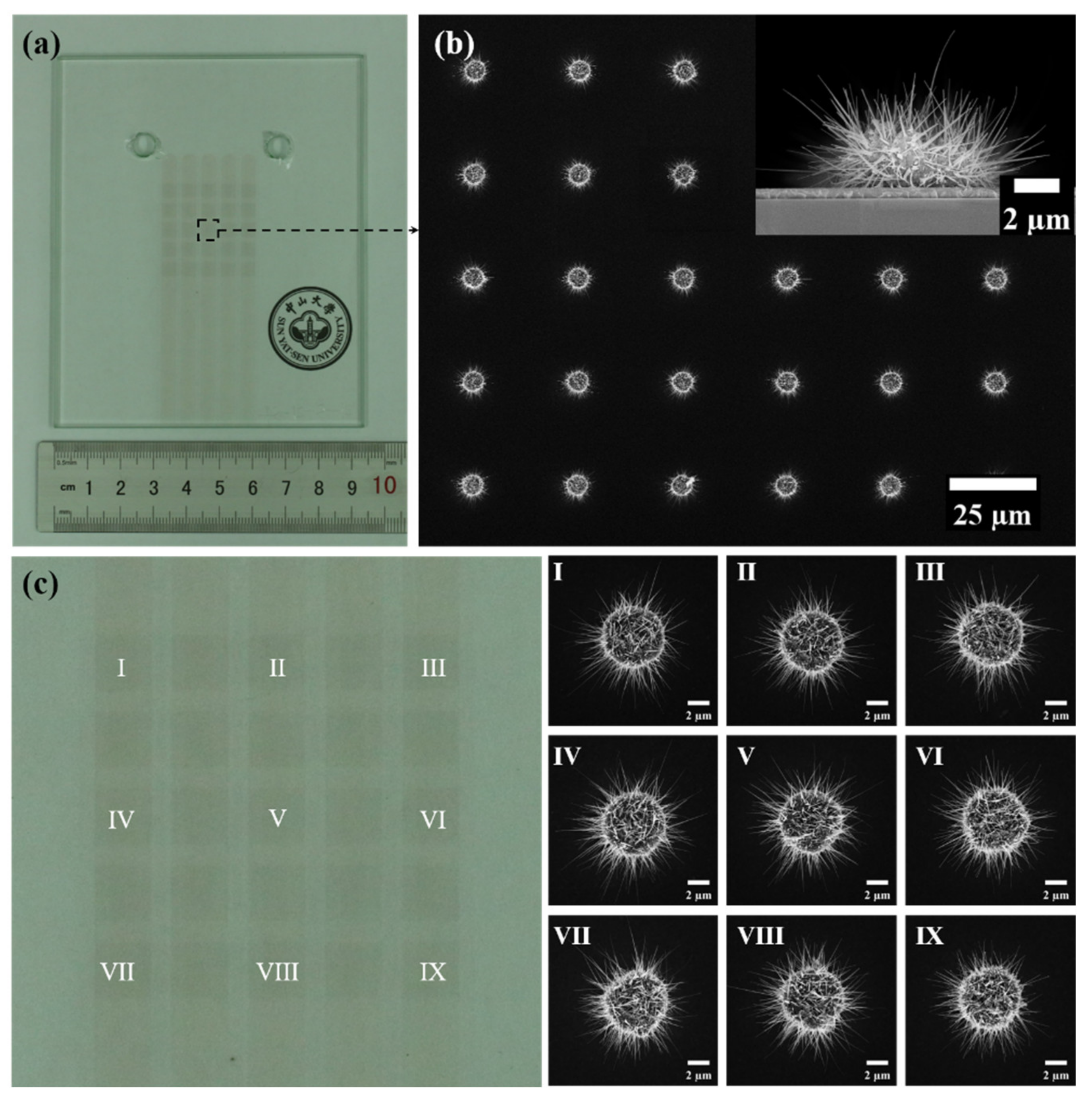 Nanomaterials 11 03115 g003 550
