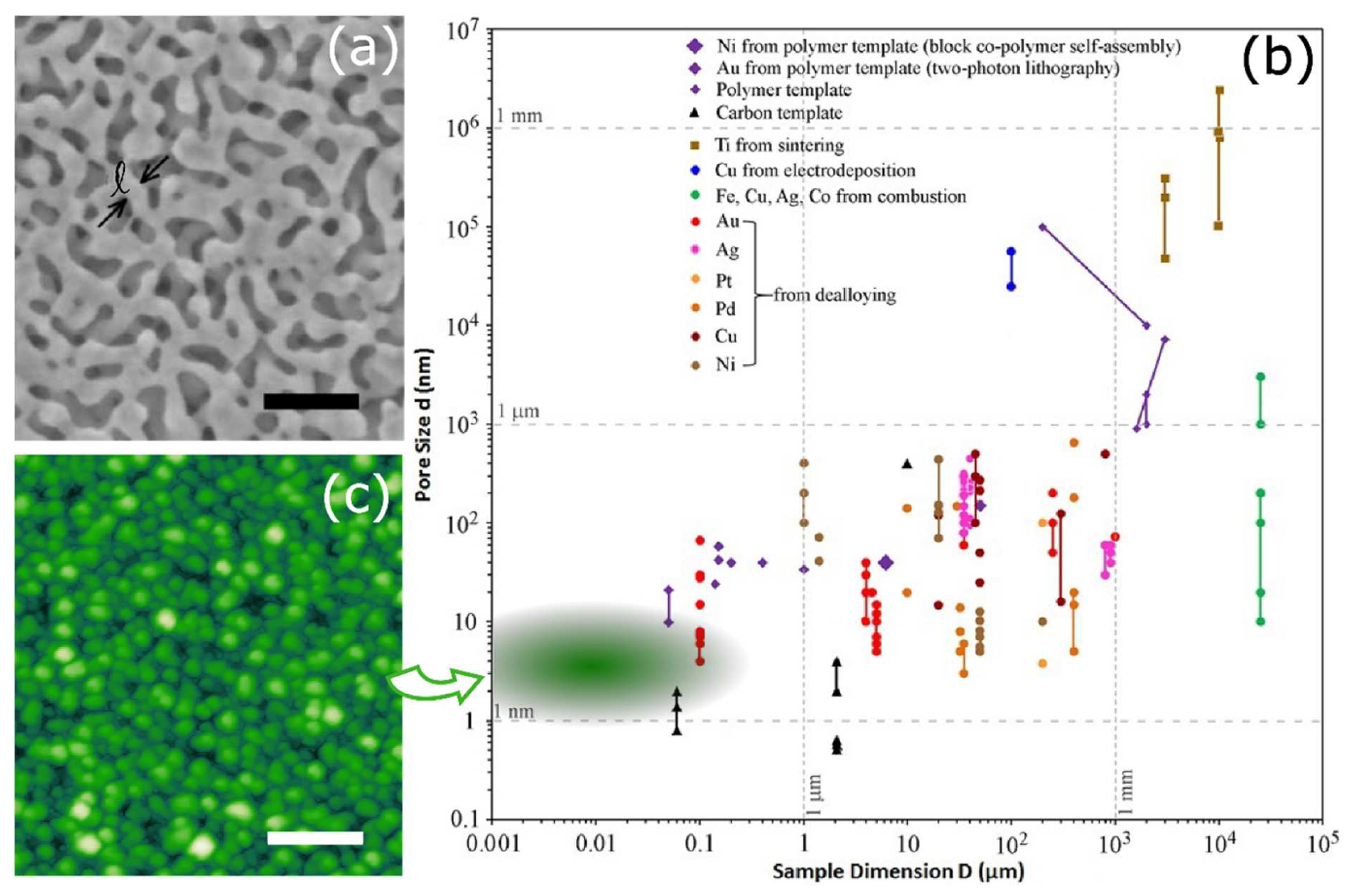 Nanomaterials 11 03116 g002