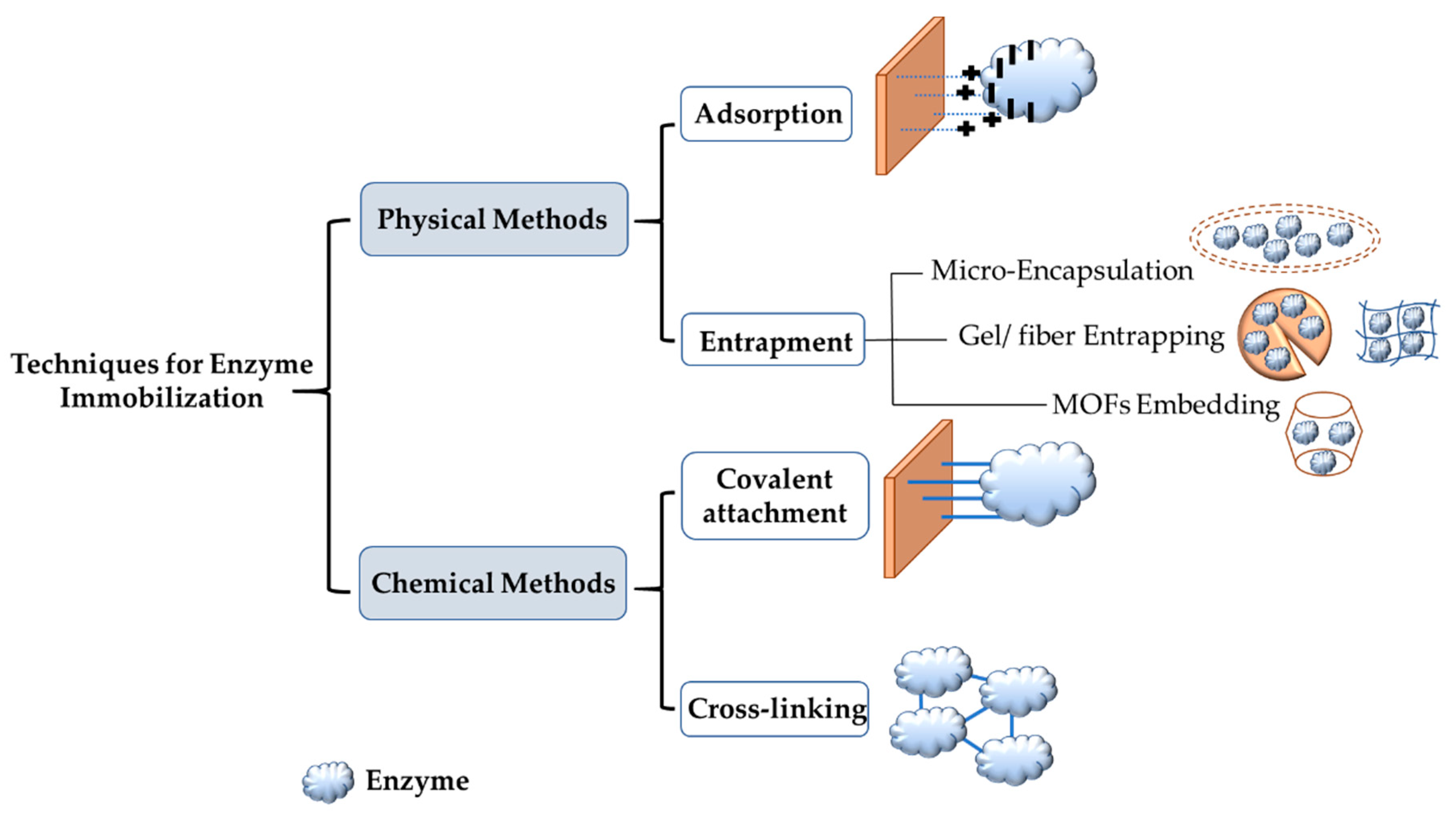 Nanomaterials 11 03124 g002 550