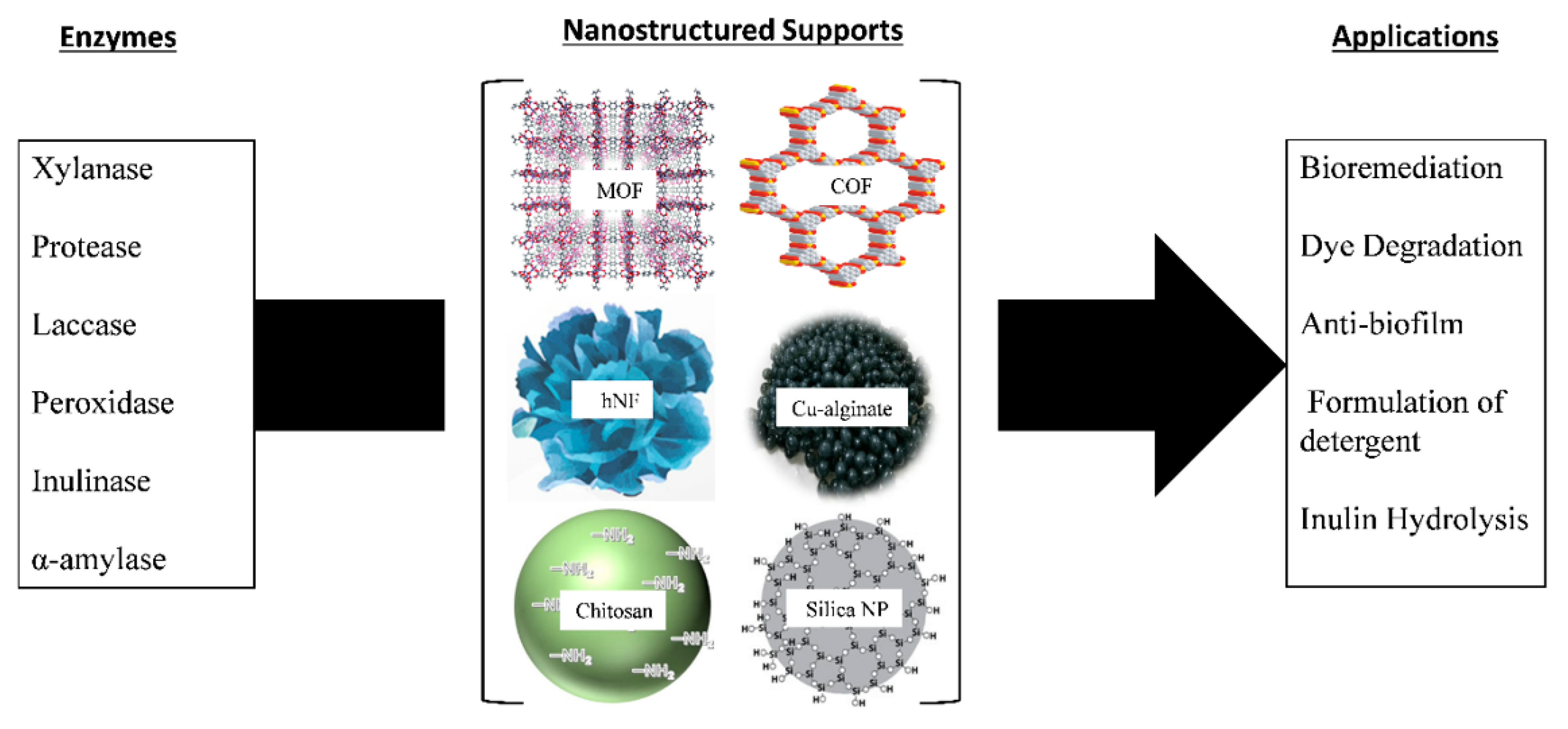 Nanomaterials 11 03124 g003 550