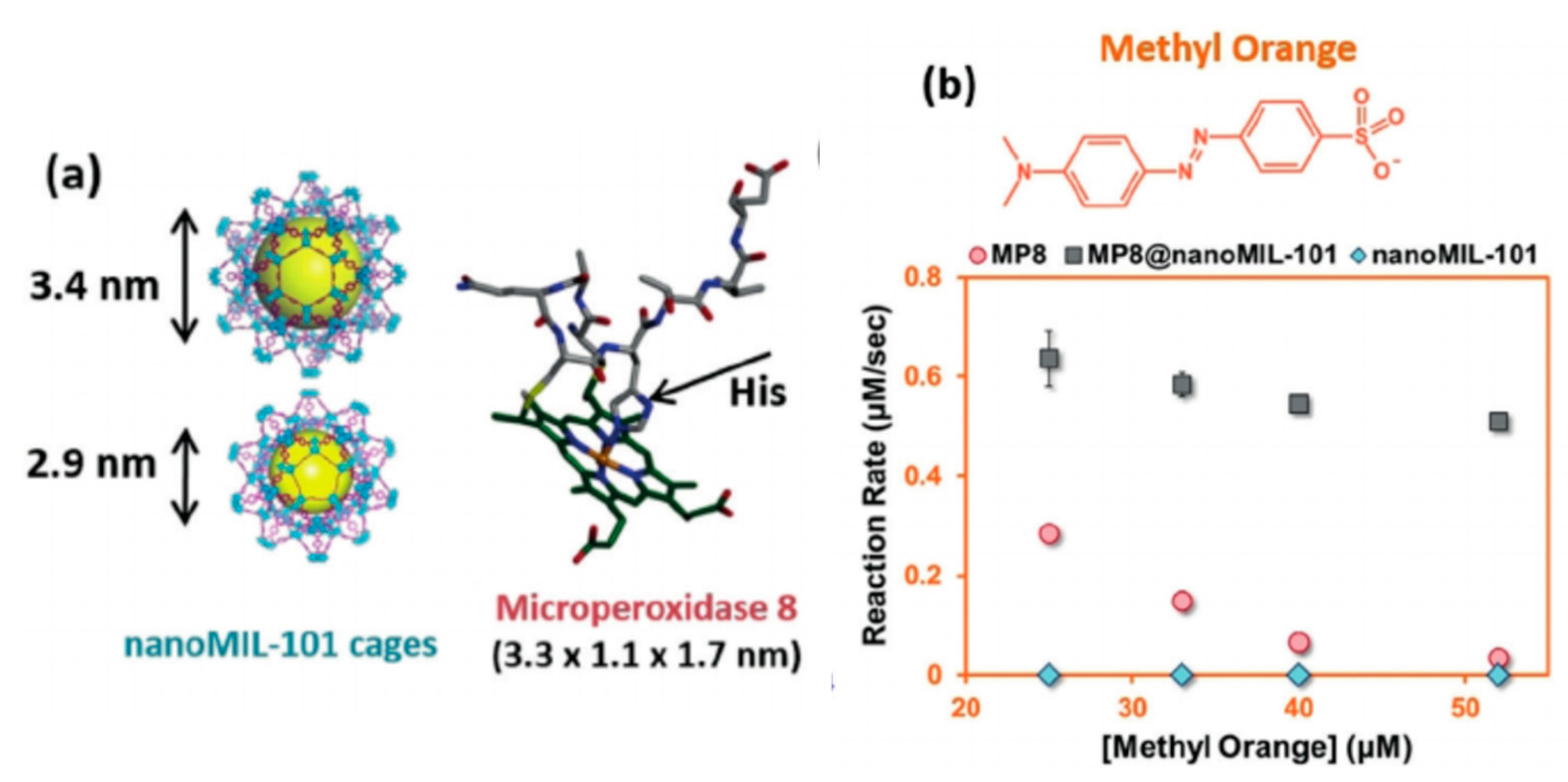 Nanomaterials 11 03124 g005 550