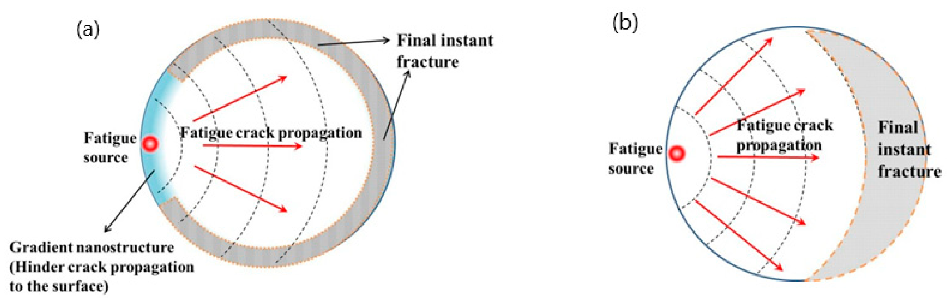 Nanomaterials 11 03125 g010