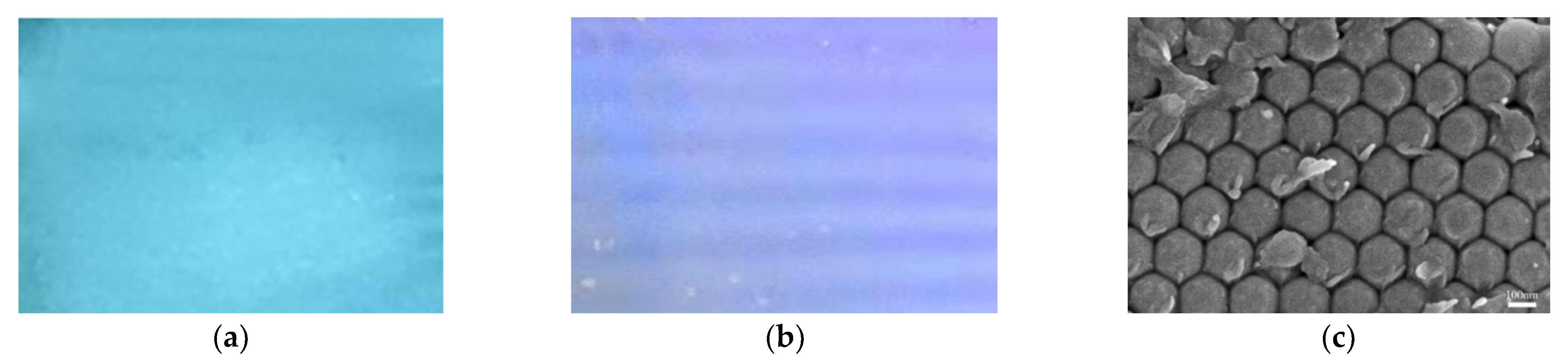 Nanomaterials 11 03126 g002
