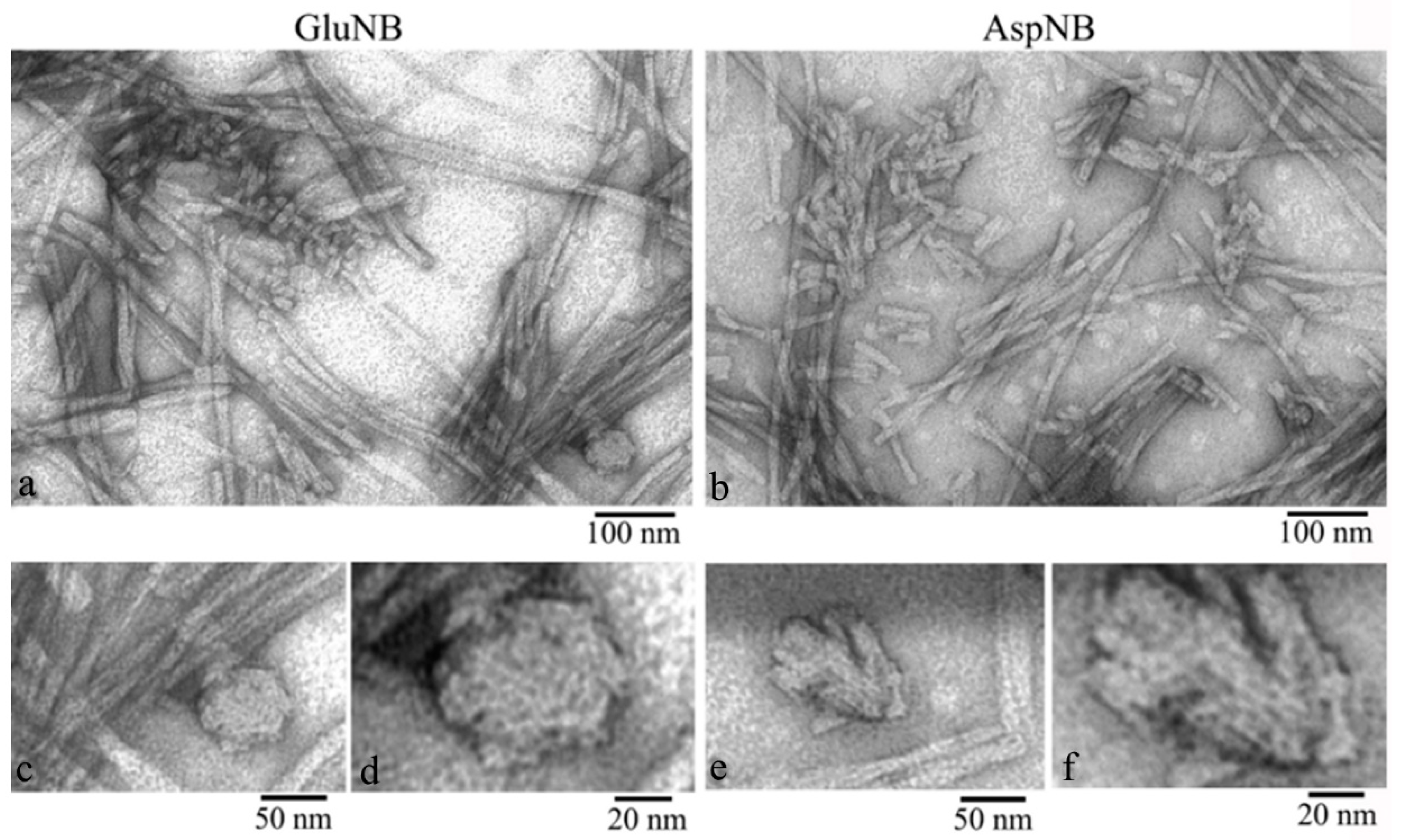 Nanomaterials 11 03129 g003 550