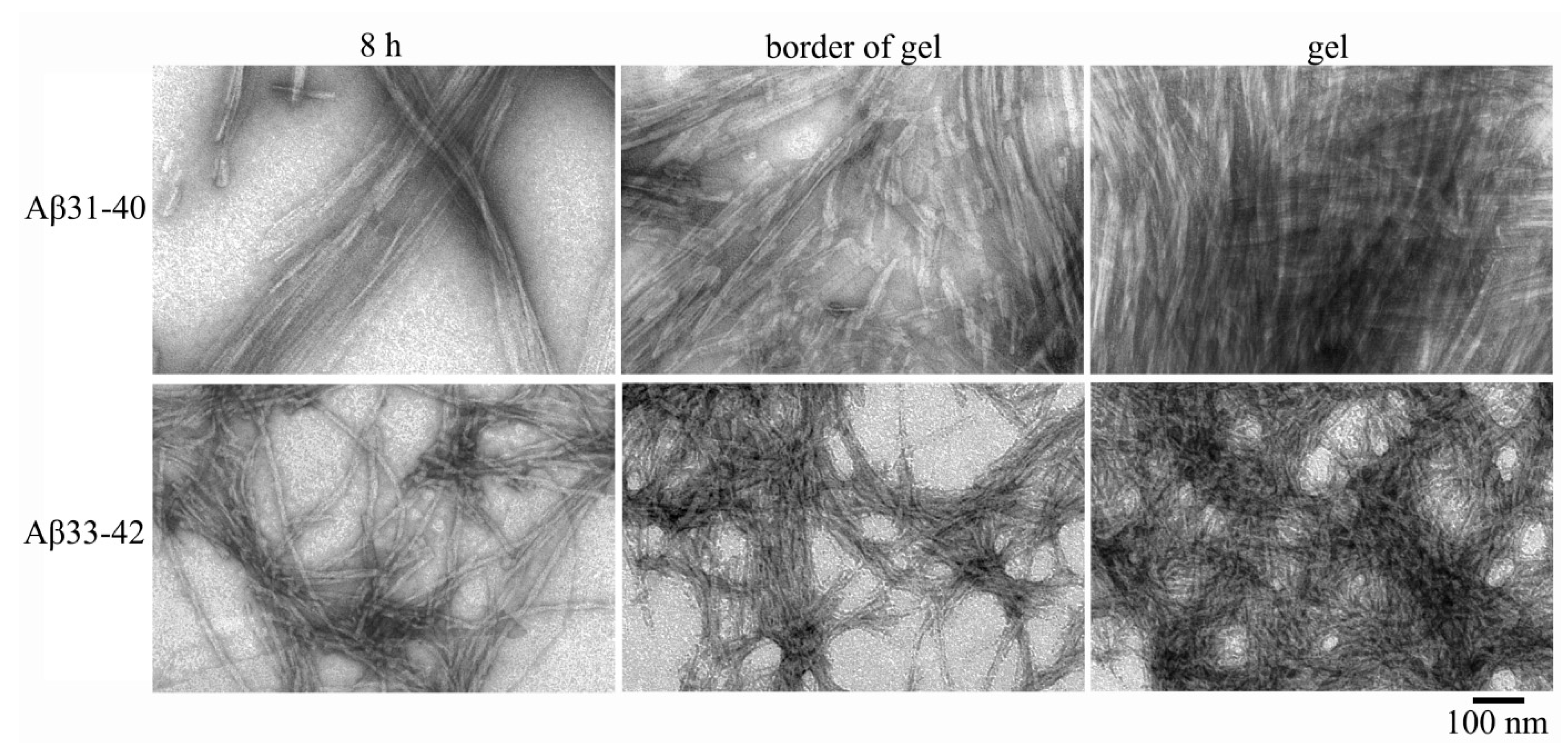 Nanomaterials 11 03129 g004 550
