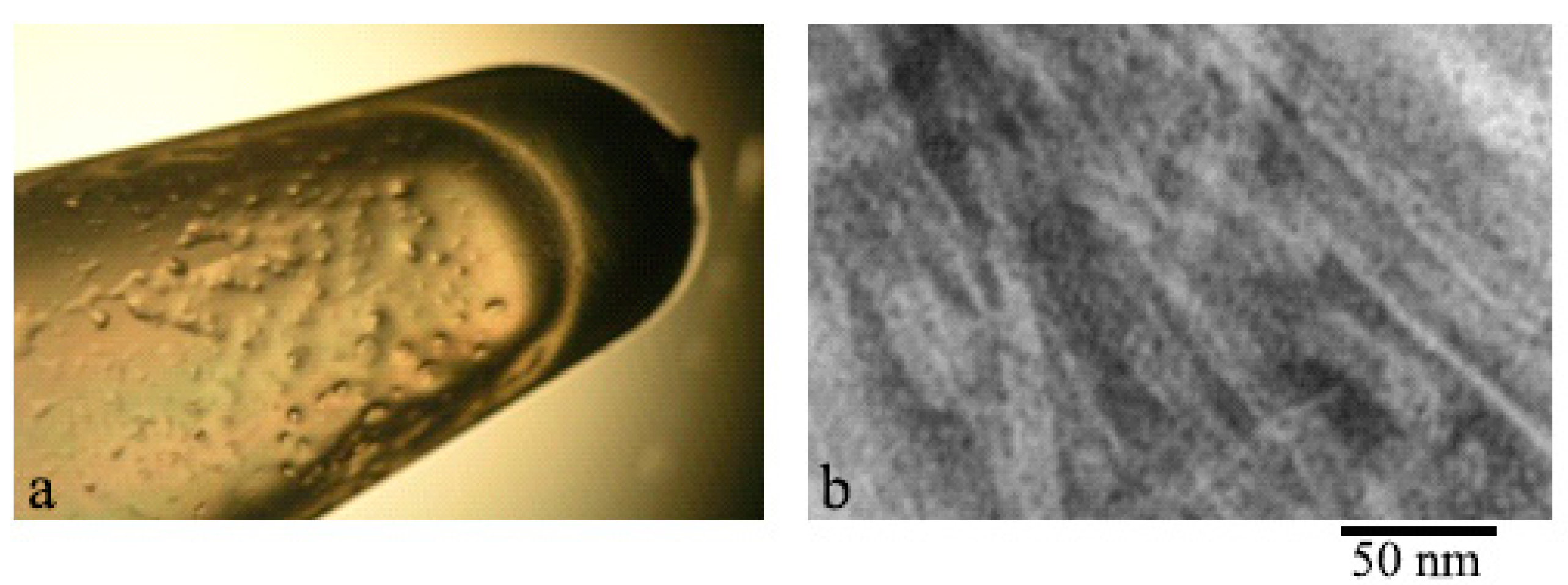 Nanomaterials 11 03129 g005 550