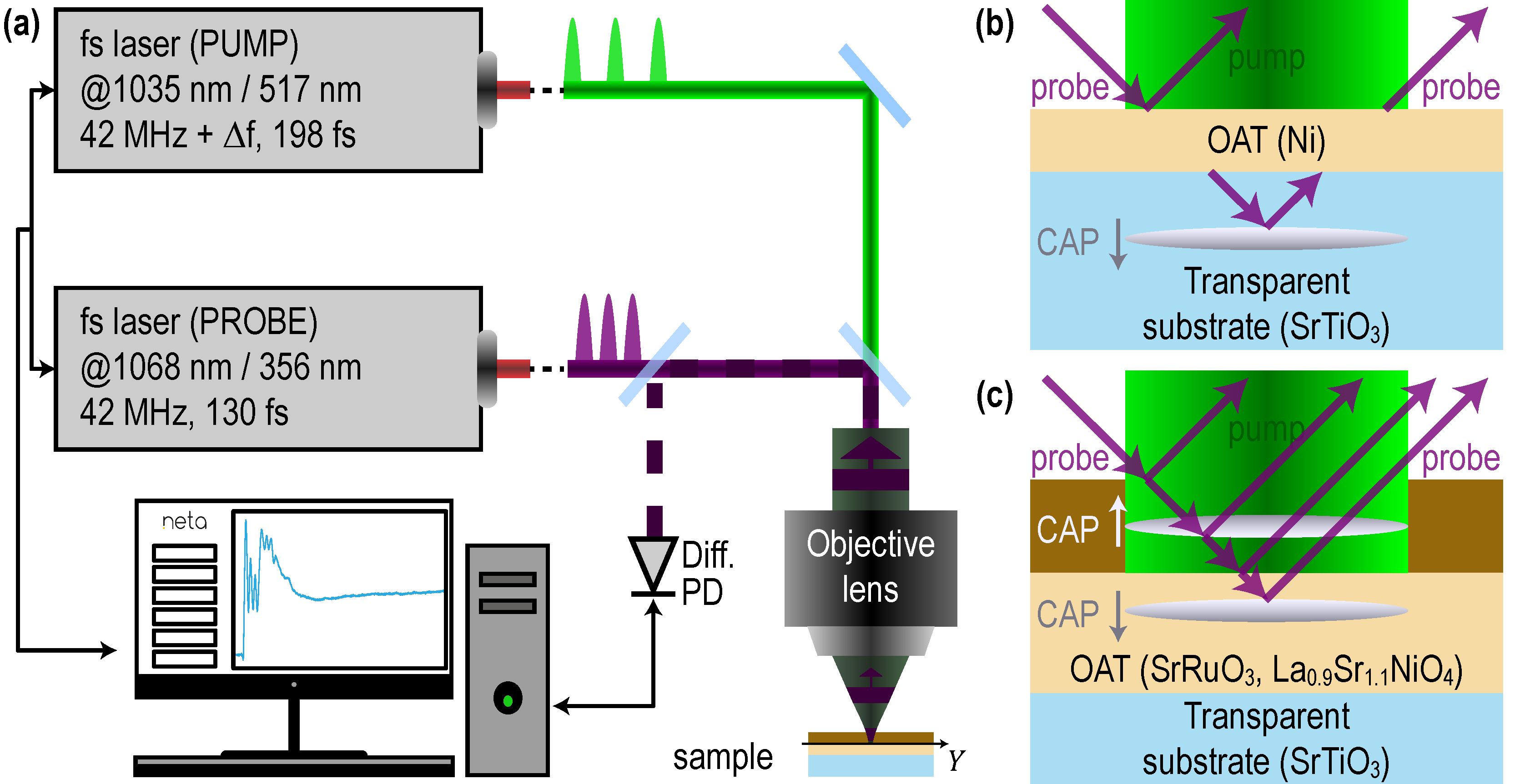Nanomaterials 11 03131 g002