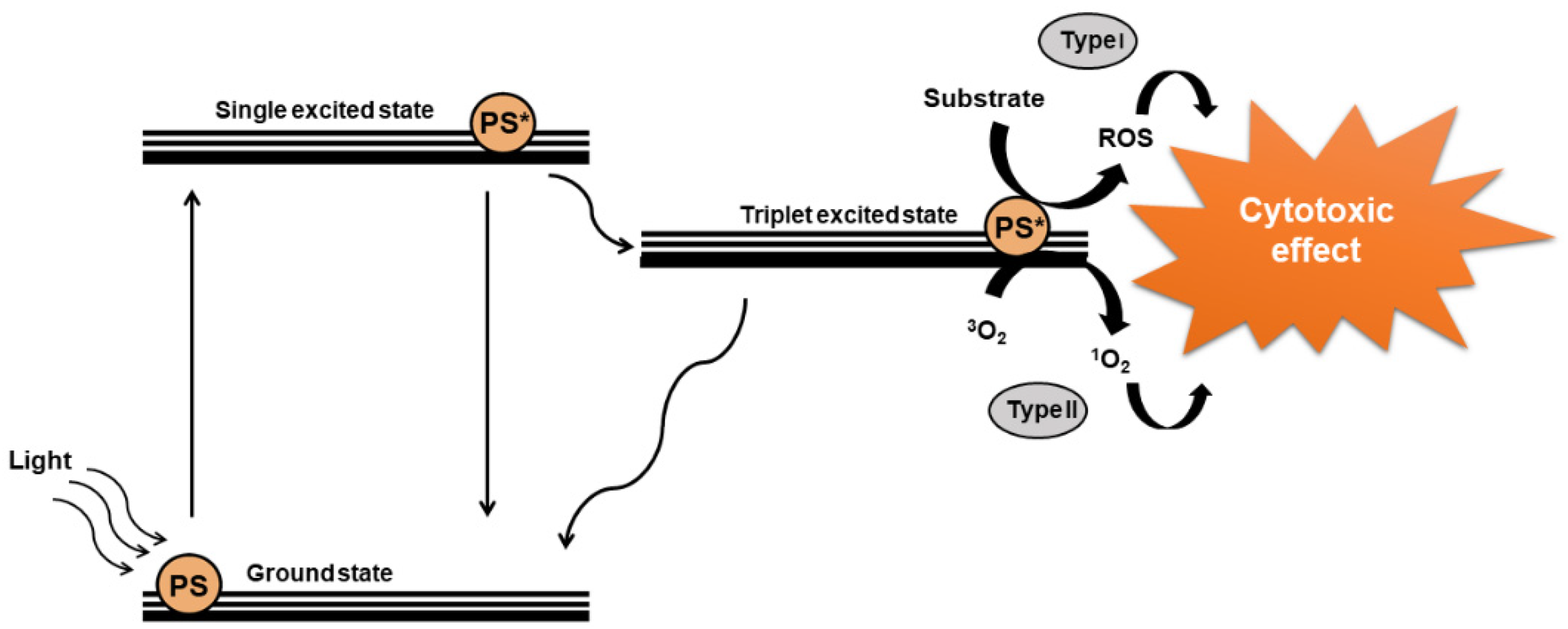 Nanomaterials 11 03132 g002 Nanomaterials 11 03132 g002