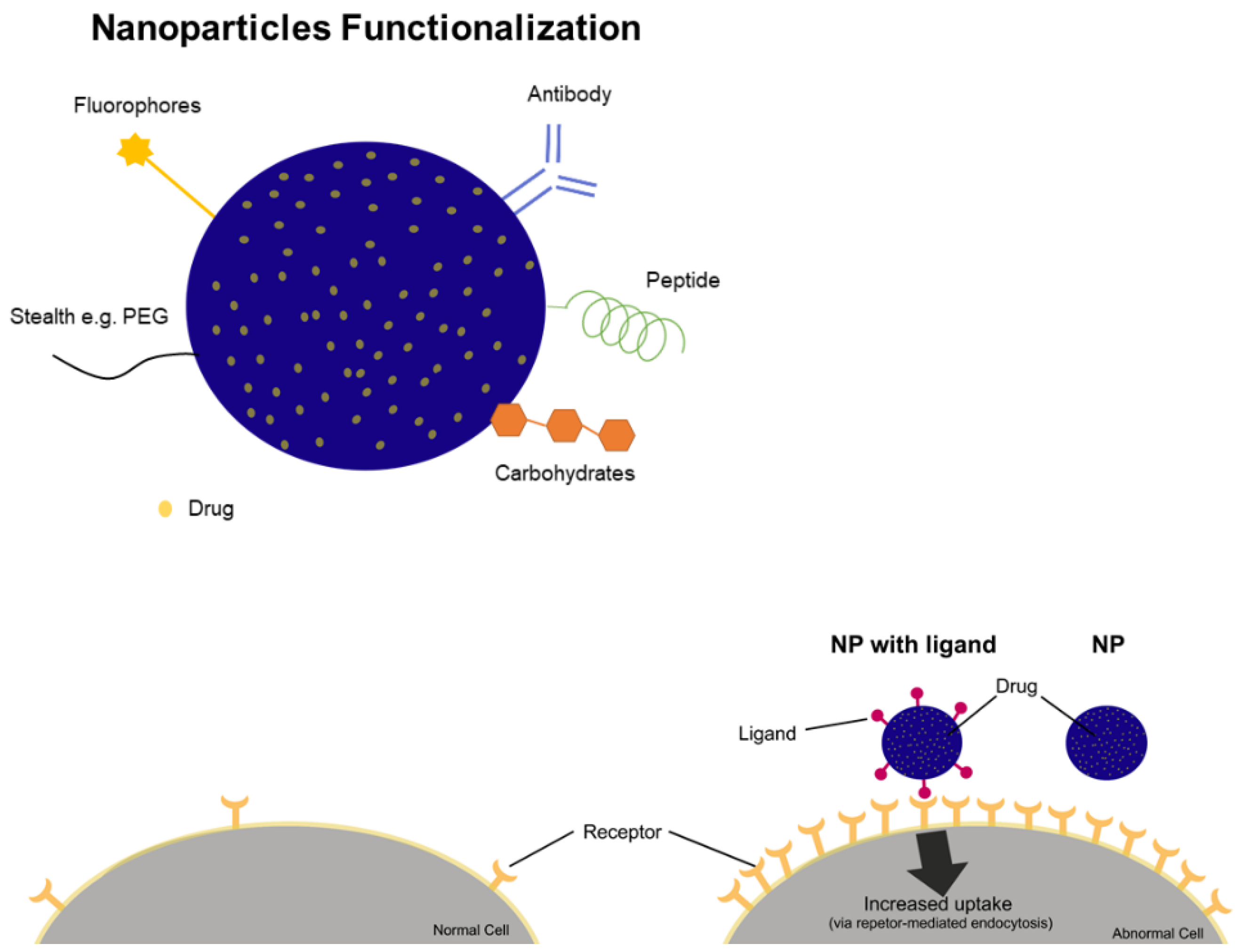 Nanomaterials 11 03132 g004 Nanomaterials 11 03132 g004