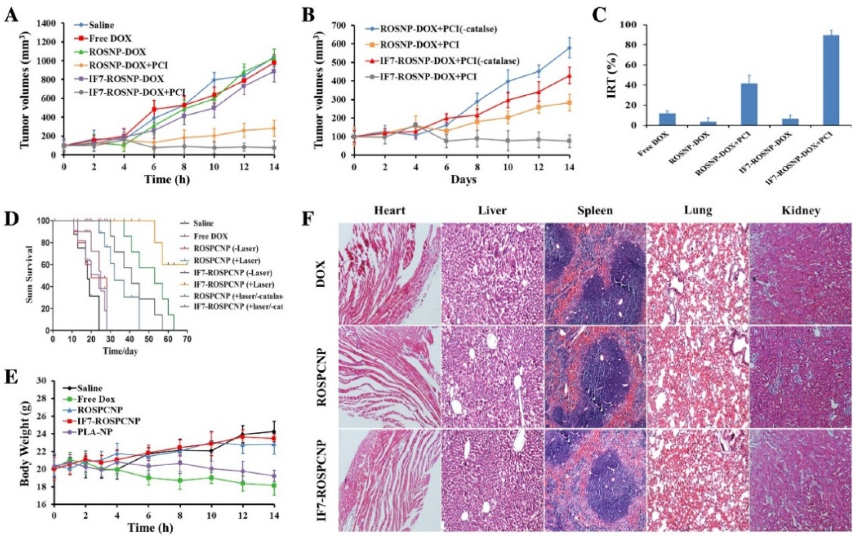 Nanomaterials 11 03132 g005 Nanomaterials 11 03132 g005