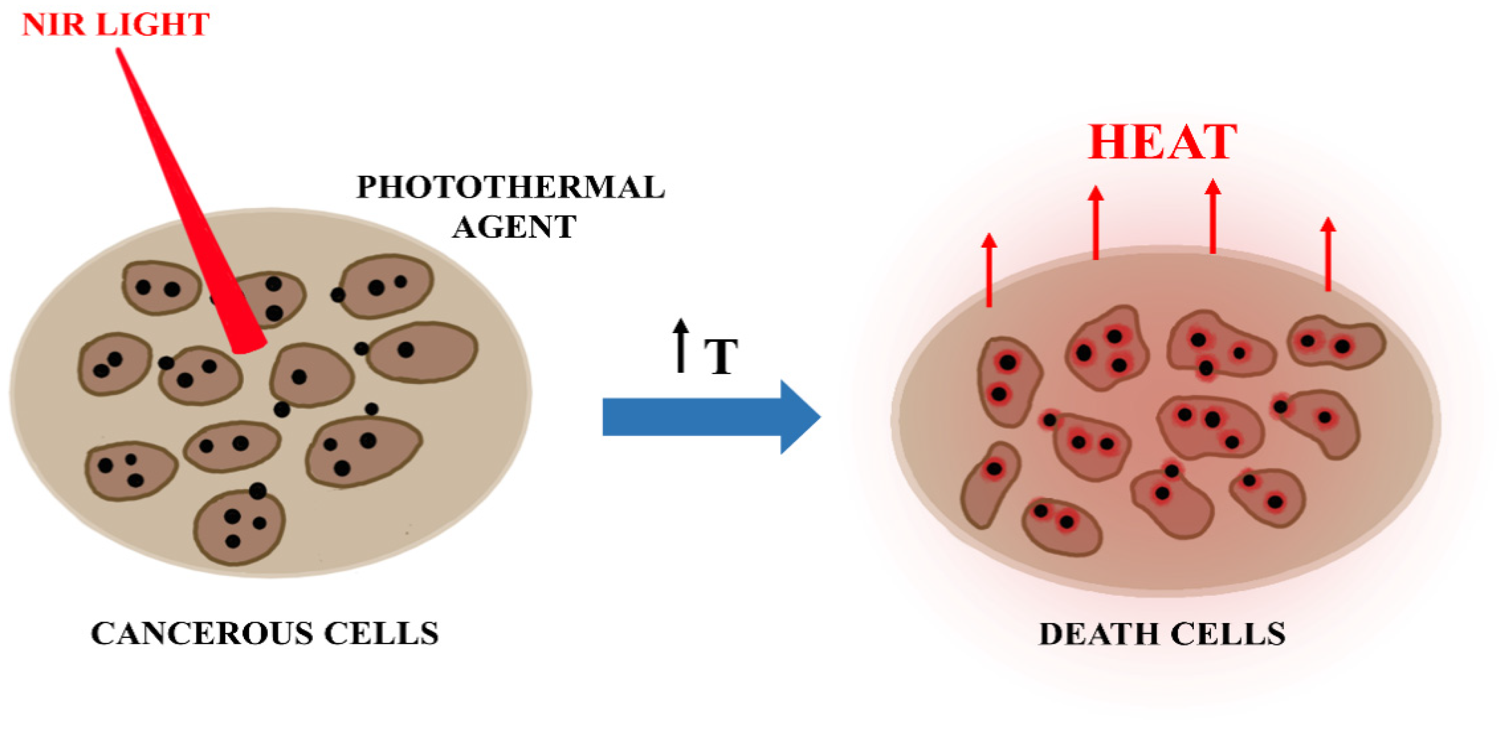 Nanomaterials 11 03132 g007 Nanomaterials 11 03132 g007