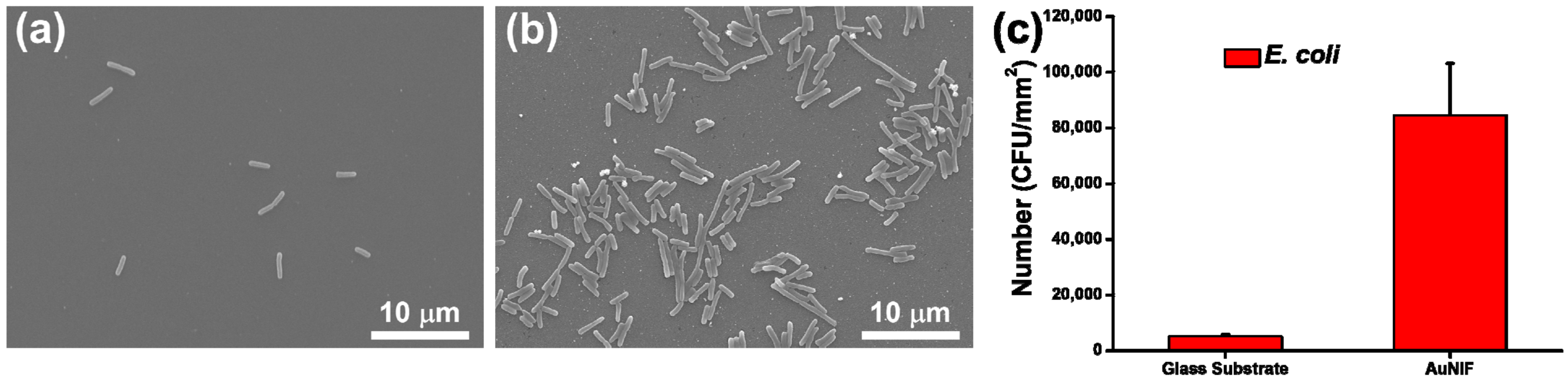 Nanomaterials 11 03139 g002