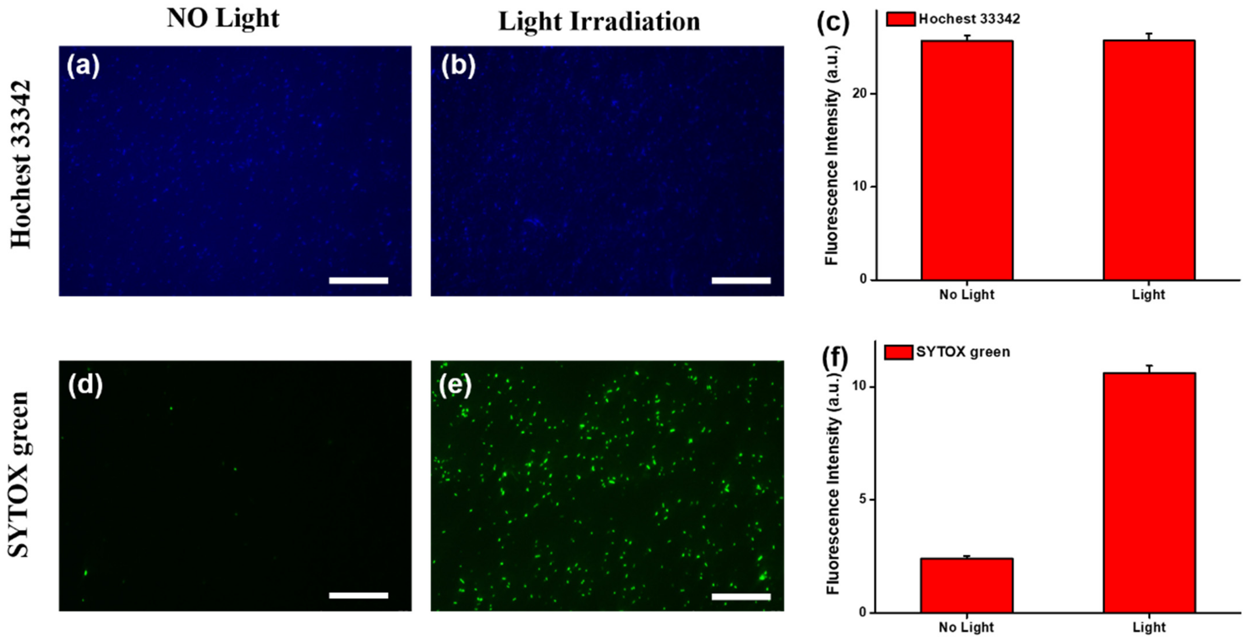 Nanomaterials 11 03139 g006