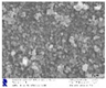 Nanomaterials 11 03142 i003