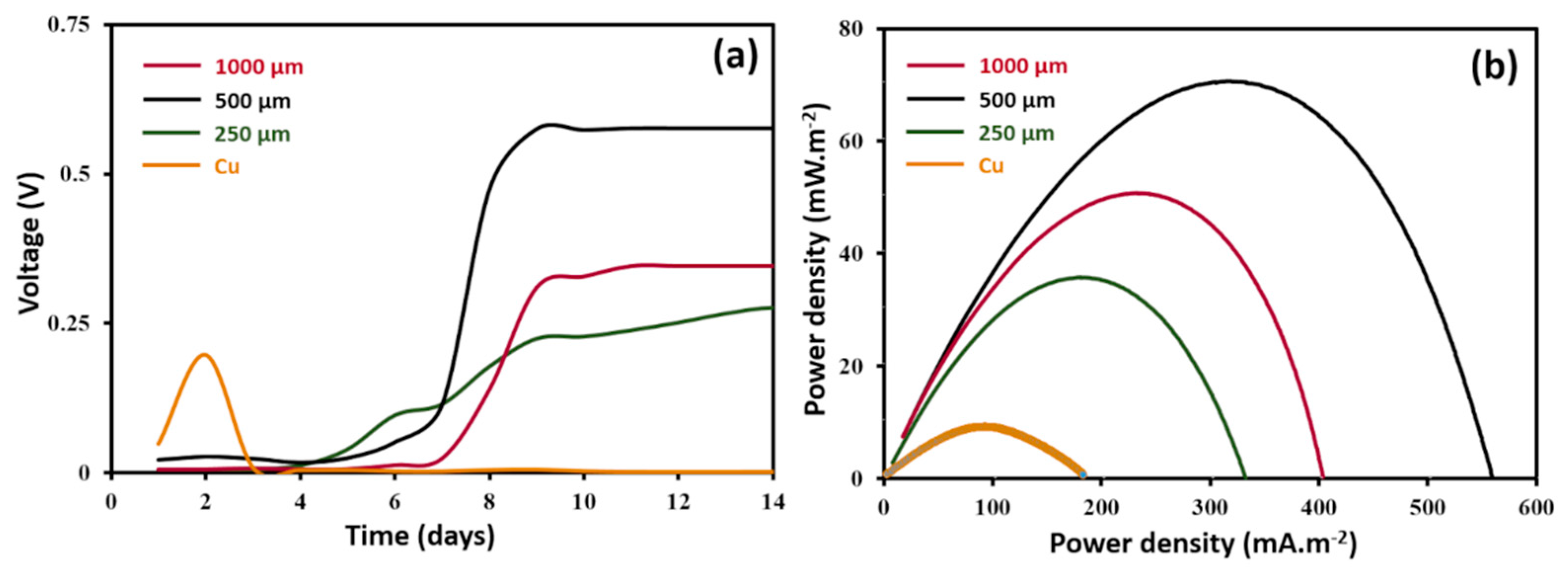 Nanomaterials 11 03144 g006