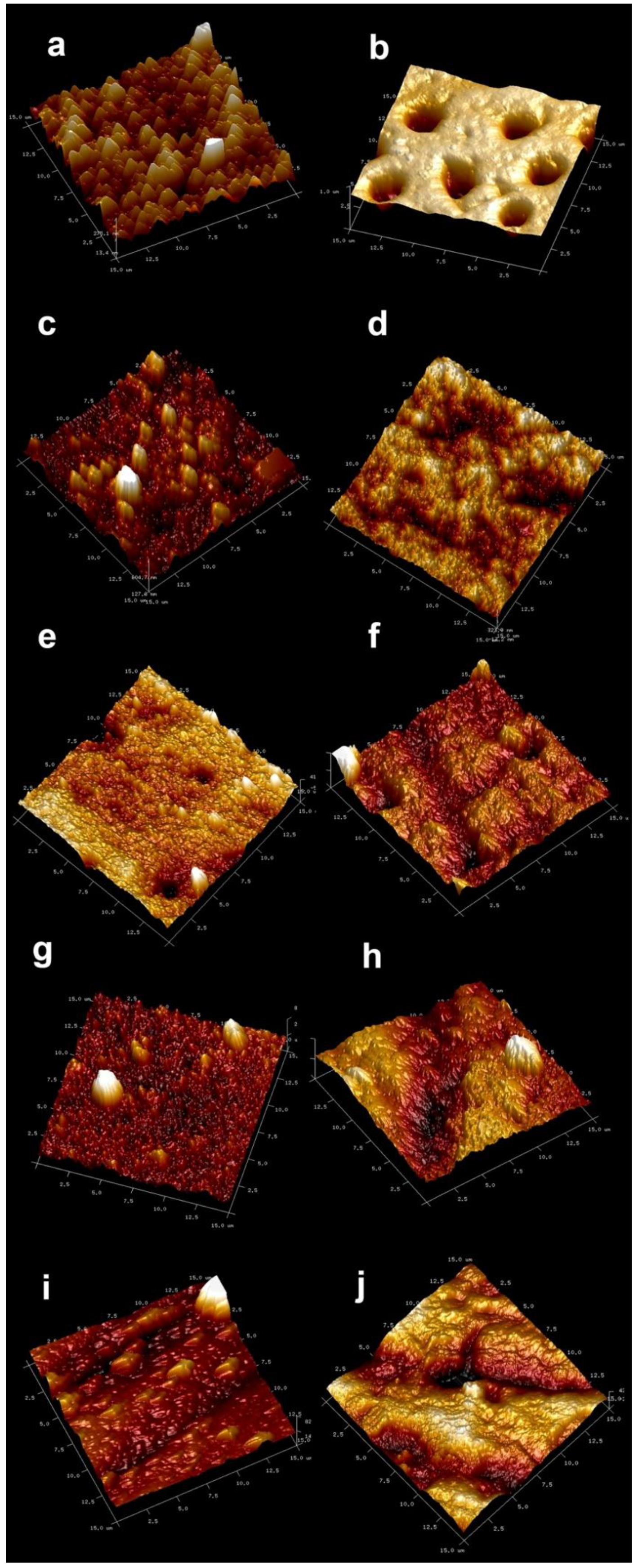 Nanomaterials 11 03150 g001