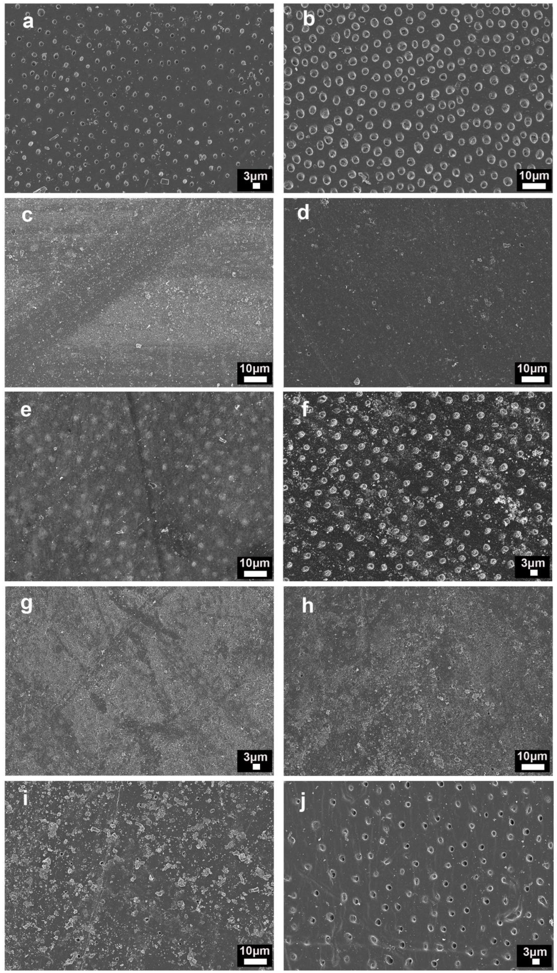 Nanomaterials 11 03150 g003