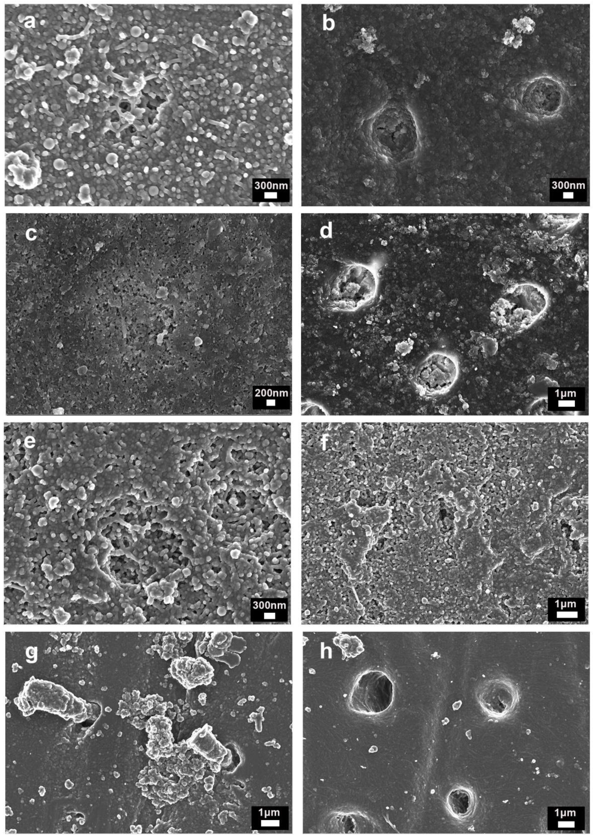 Nanomaterials 11 03150 g004